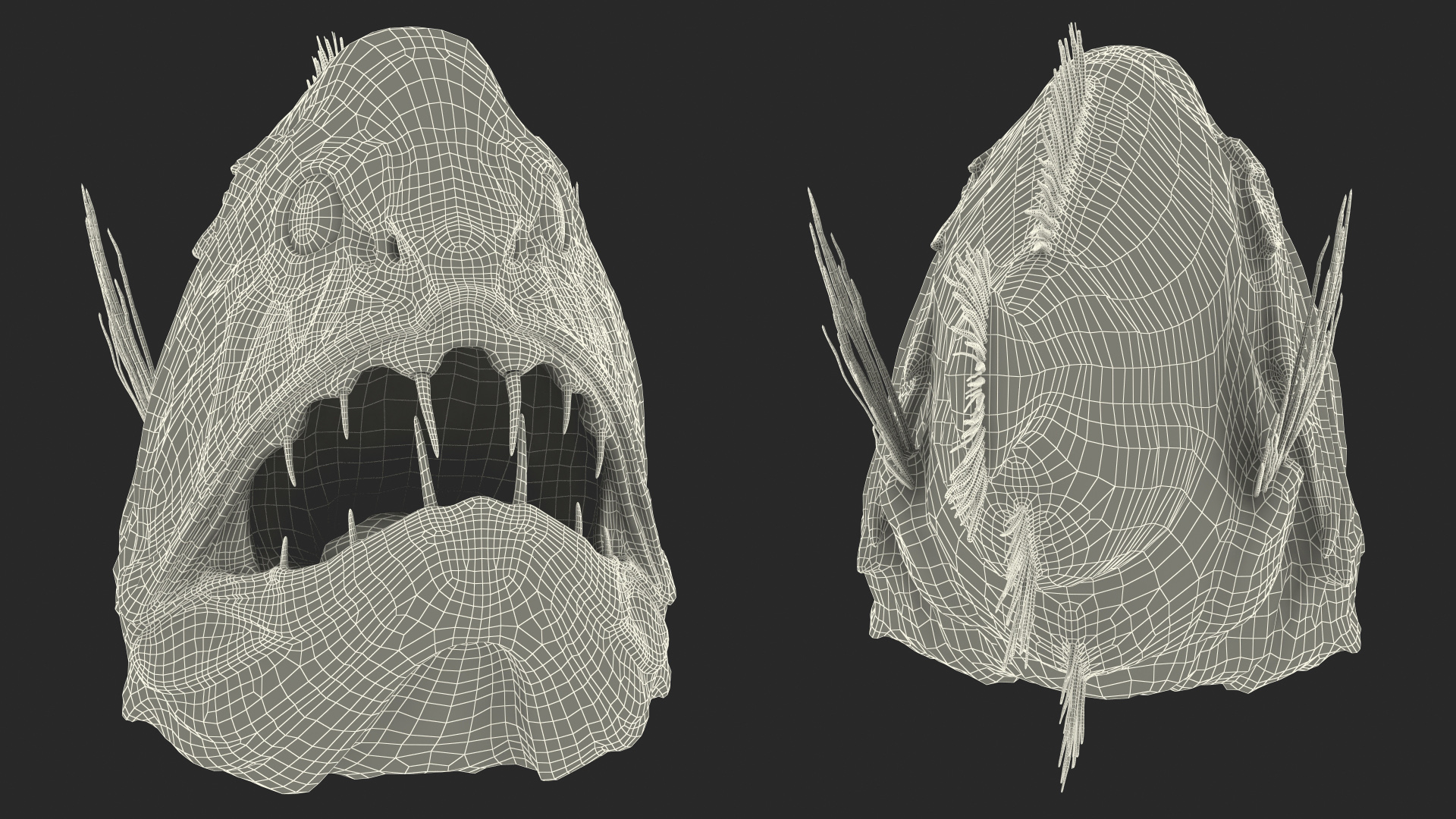 3D Common Fangtooth Fish