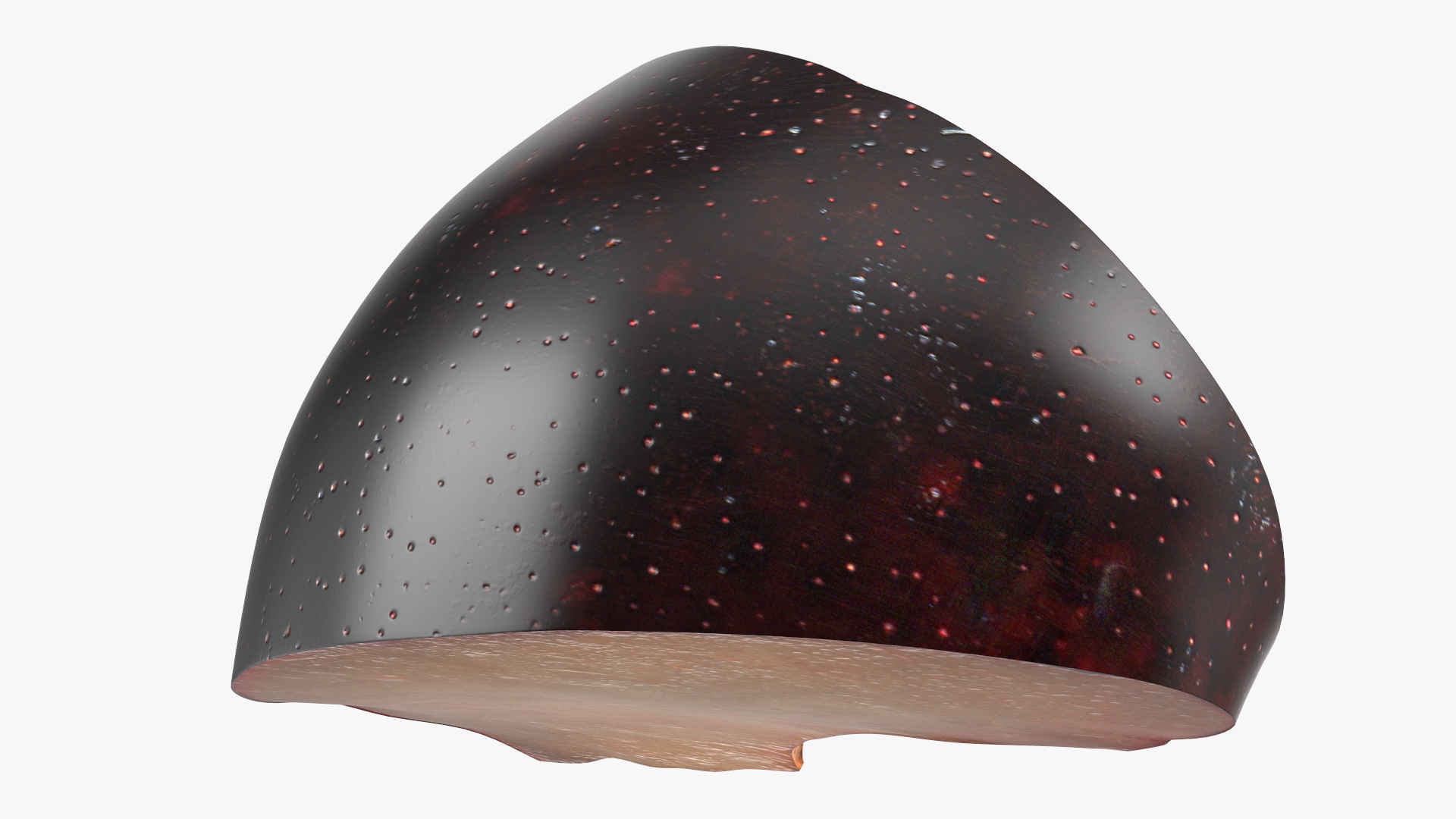 Purple Plum Slice 3D