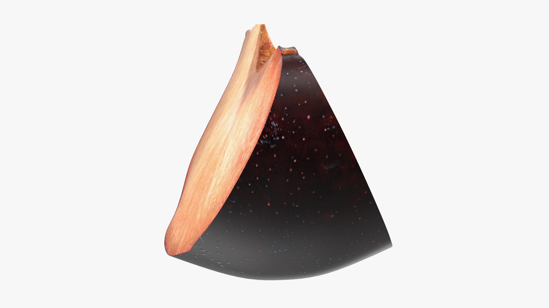 Purple Plum Slice 3D