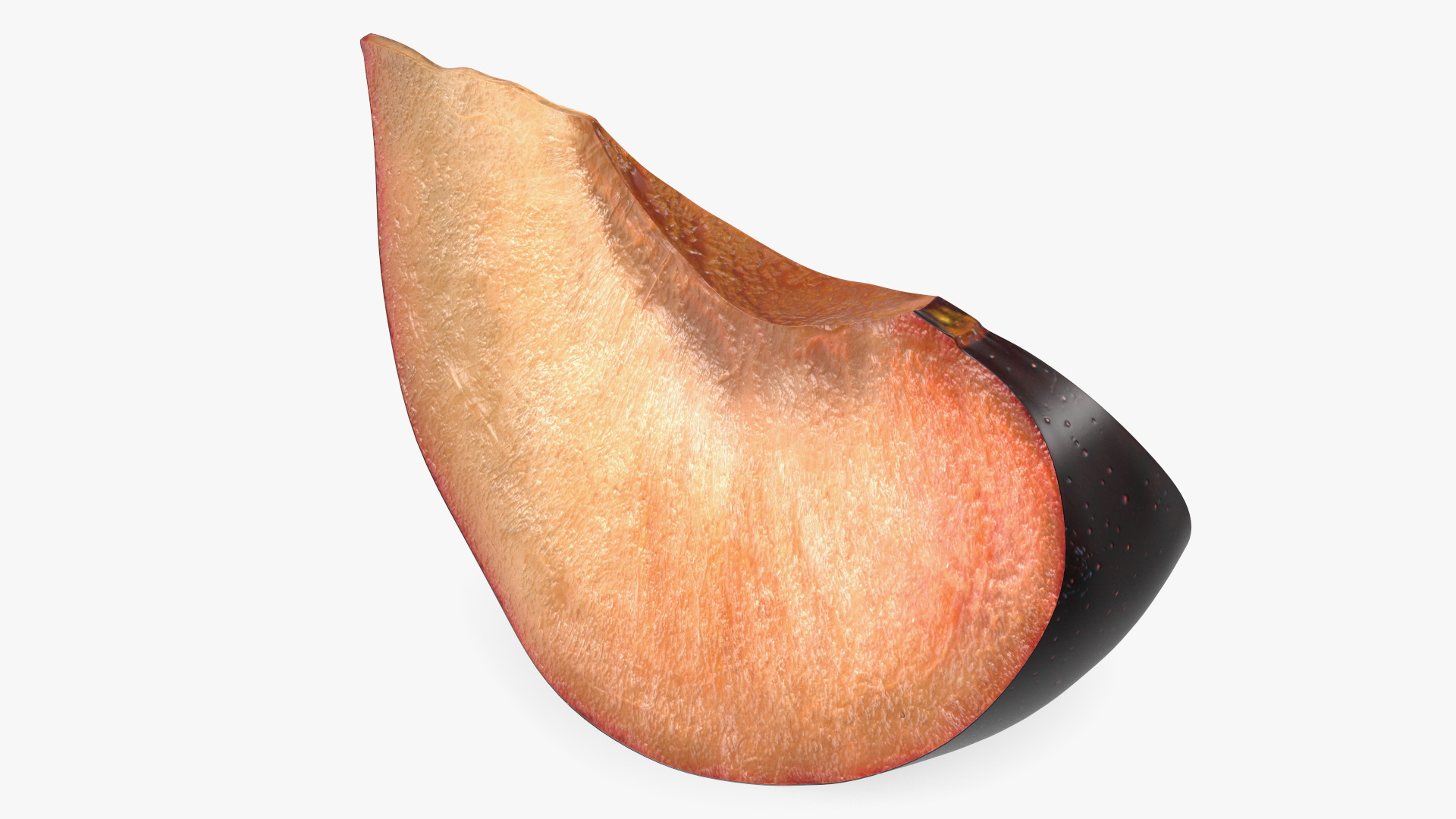 Purple Plum Slice 3D