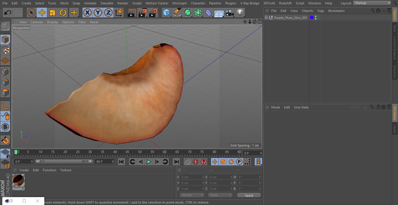 Purple Plum Slice 3D