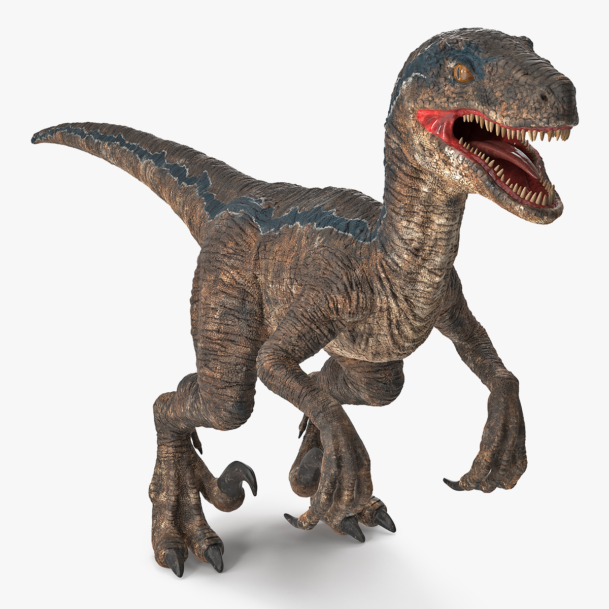Velociraptor 3D Model, view 7