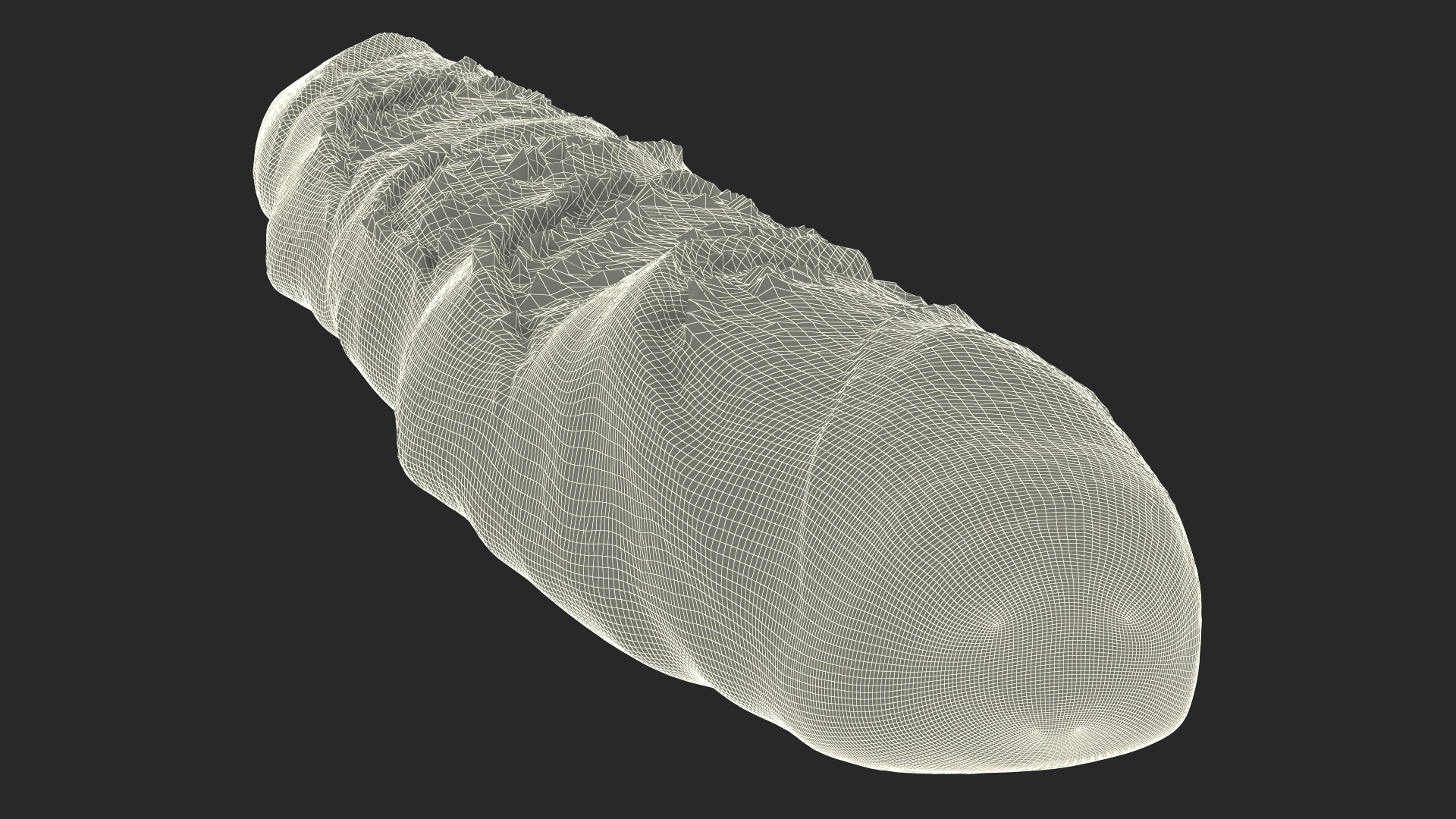 Baguette Bread 3D model