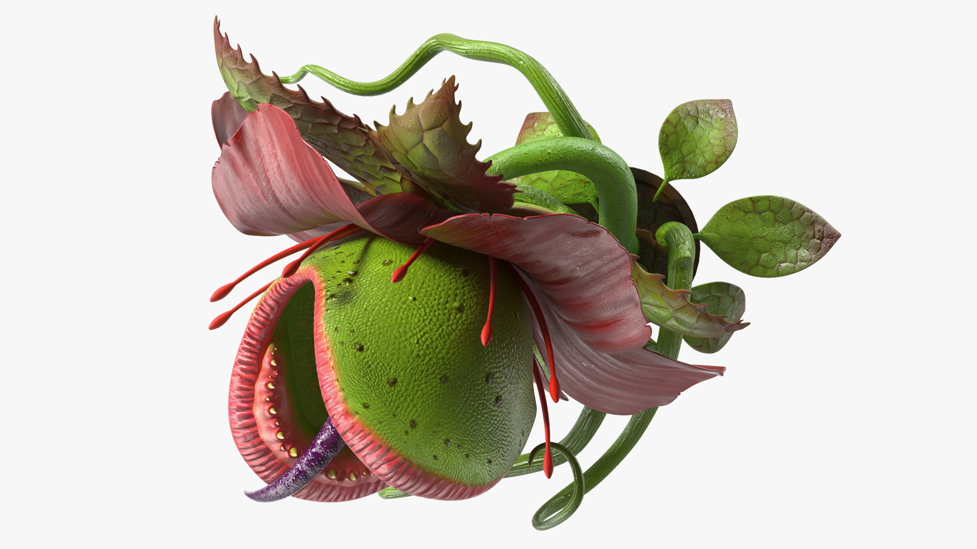 Angry Plant Monster 3D model