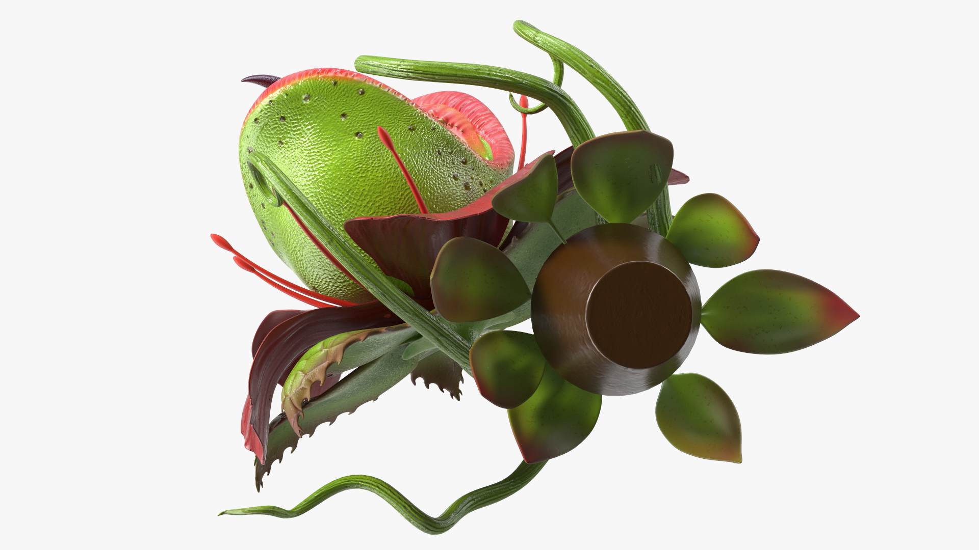 Angry Plant Monster 3D model
