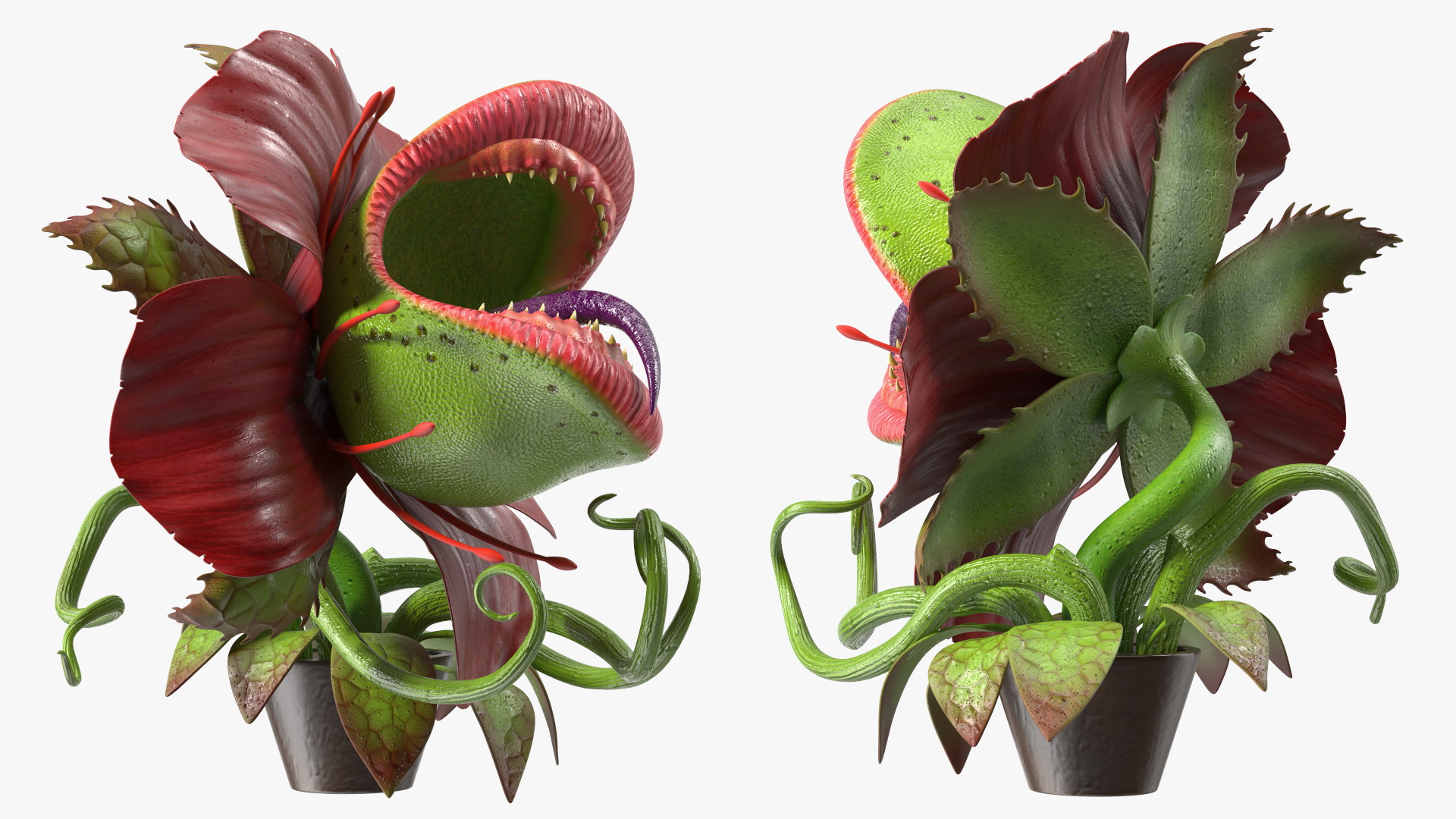 Angry Plant Monster 3D model