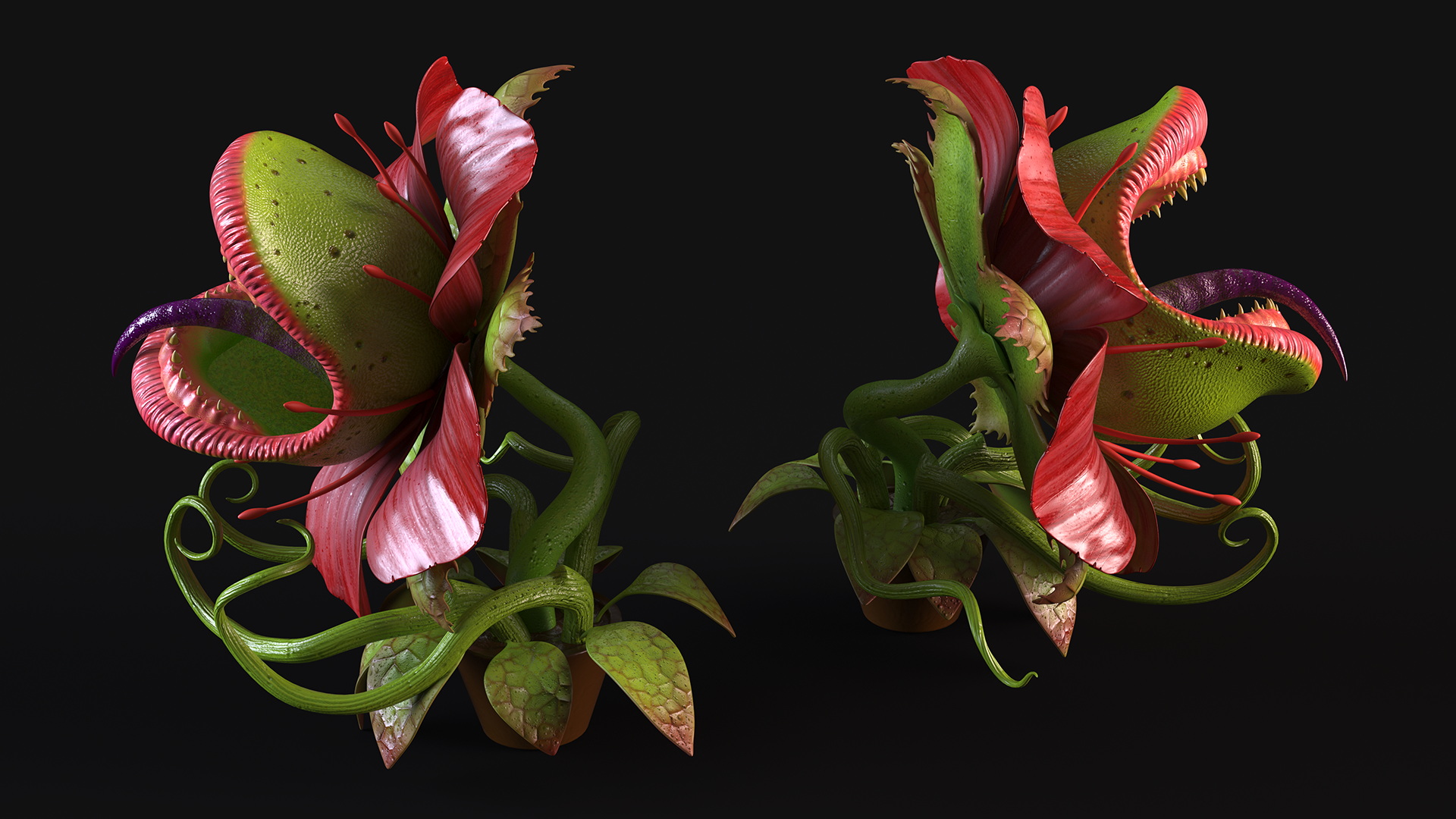 Angry Plant Monster 3D model