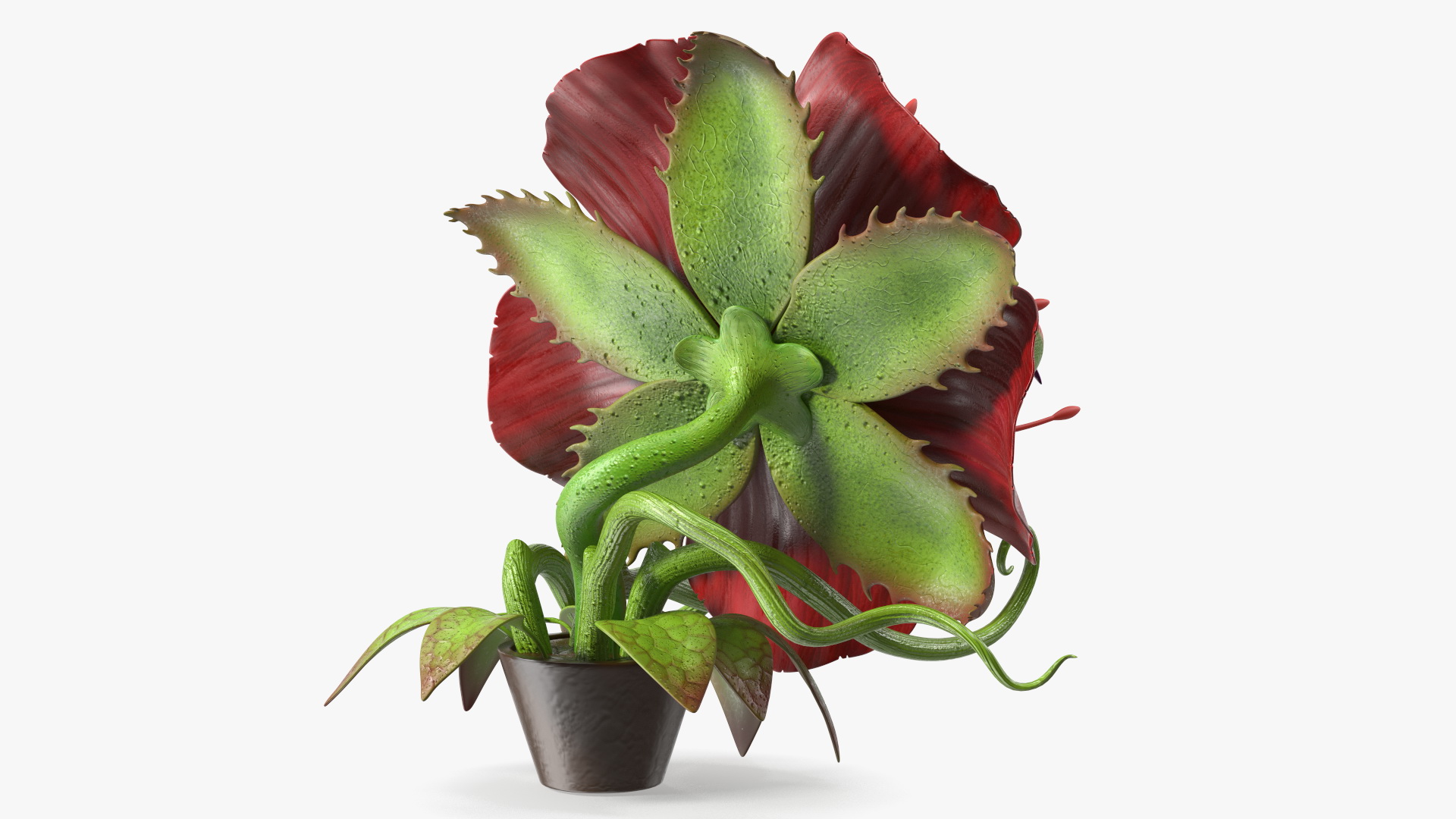 Angry Plant Monster 3D model