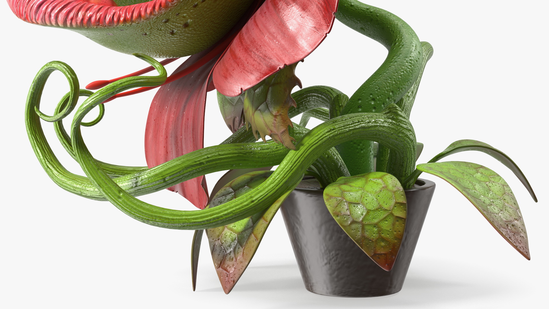 Angry Plant Monster 3D model