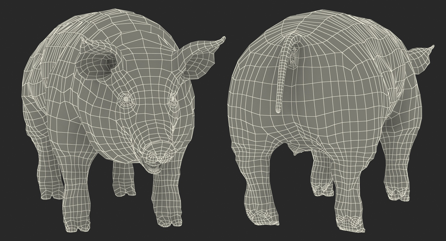 Hampshire Pig Sow Rigged 3D model
