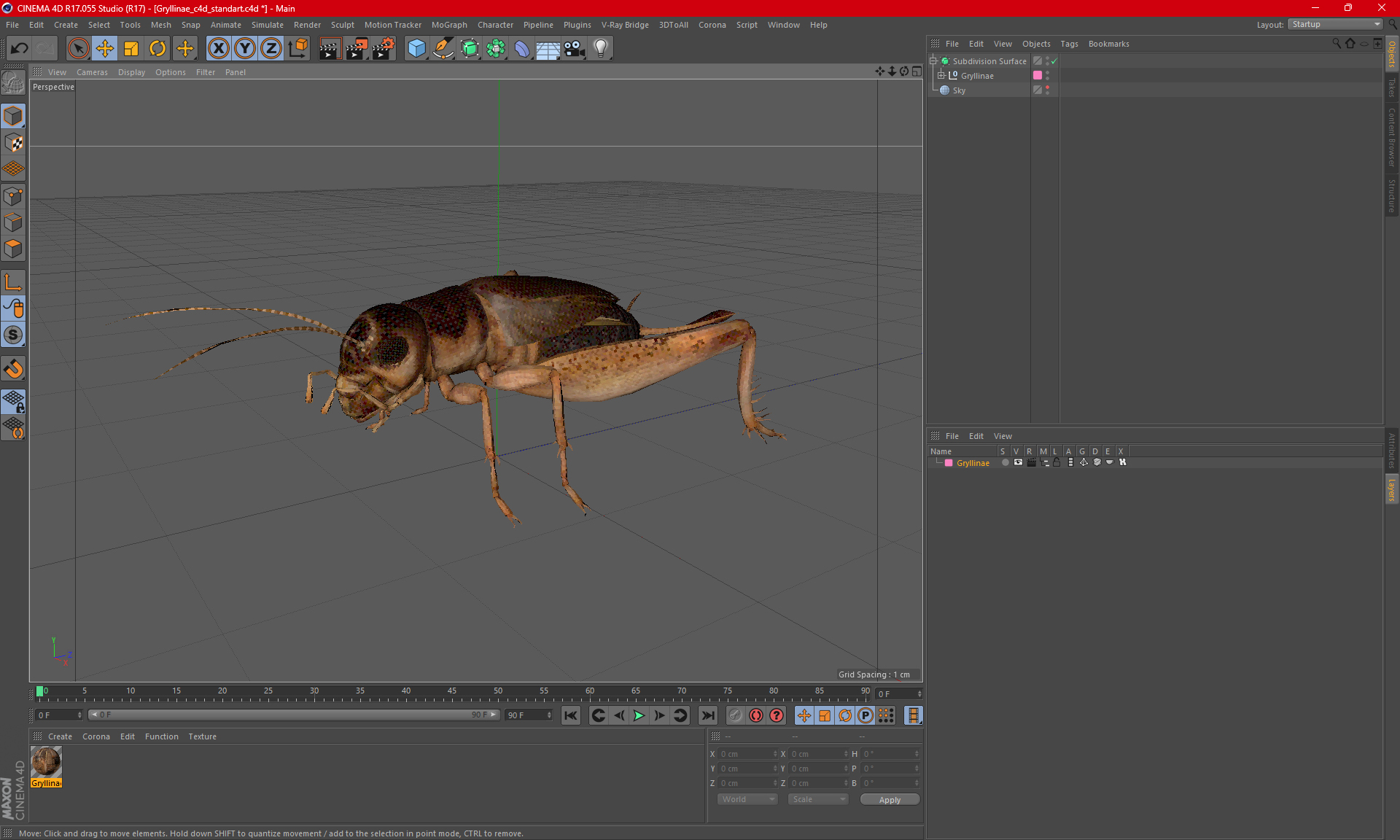 Gryllinae 3D model