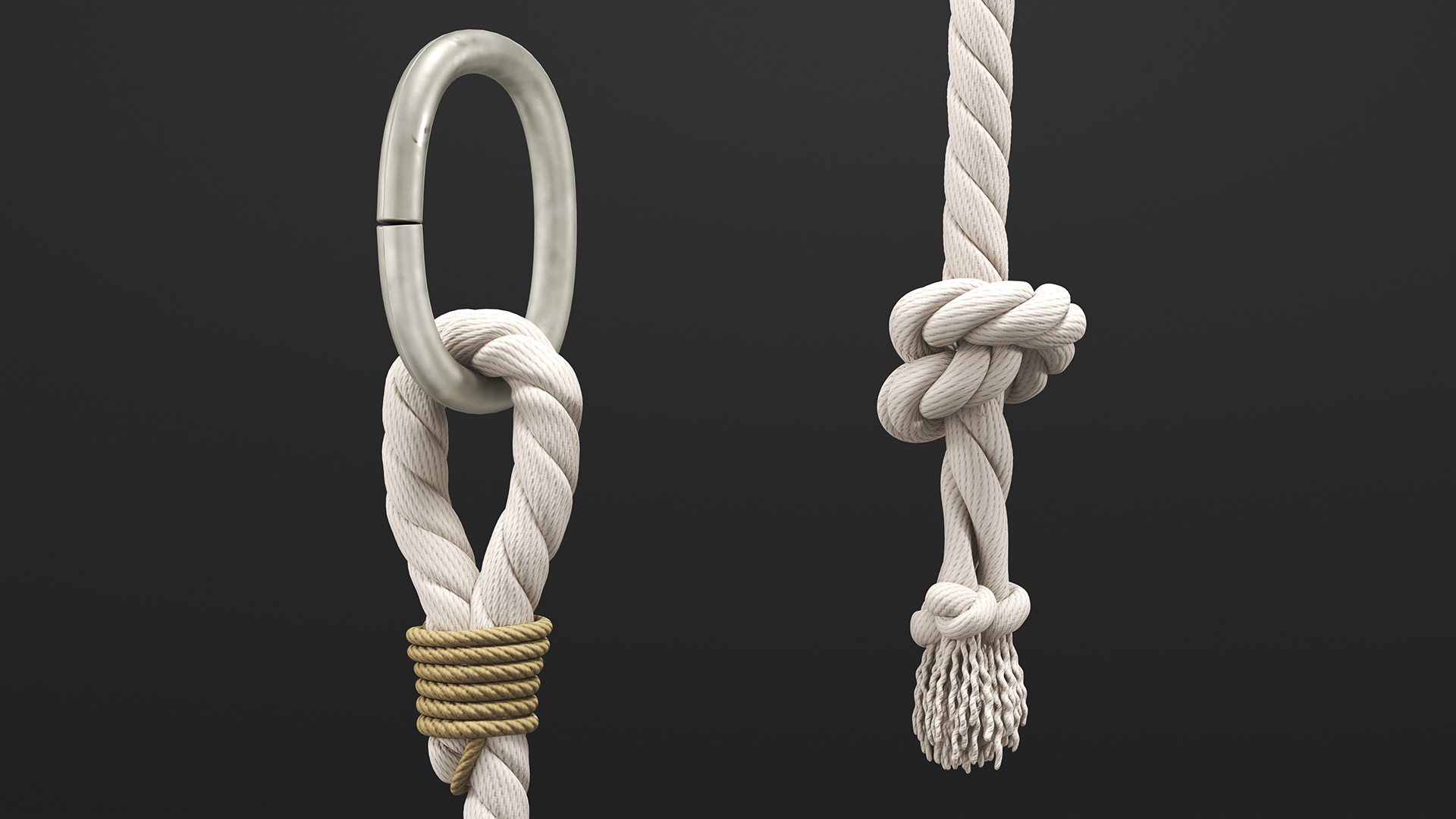 3D Knotted Climbing Rope