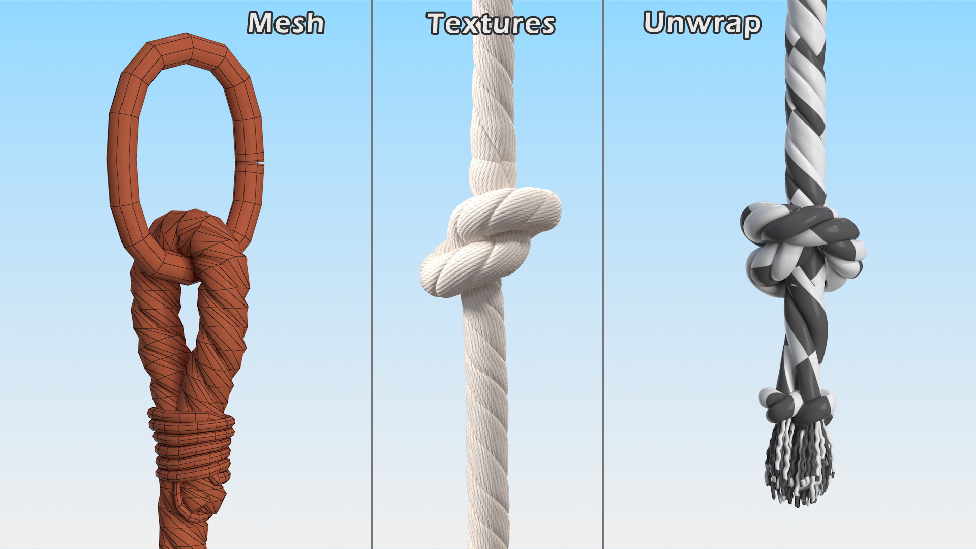 3D Knotted Climbing Rope