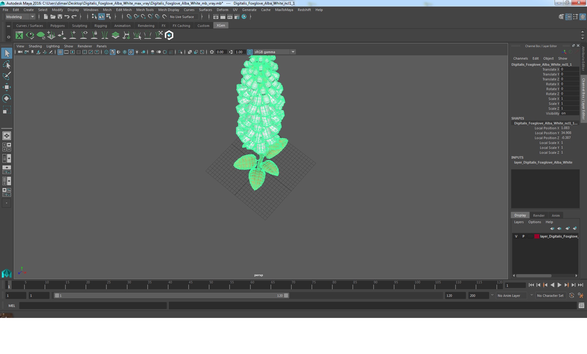 Digitalis Foxglove Alba White 3D model
