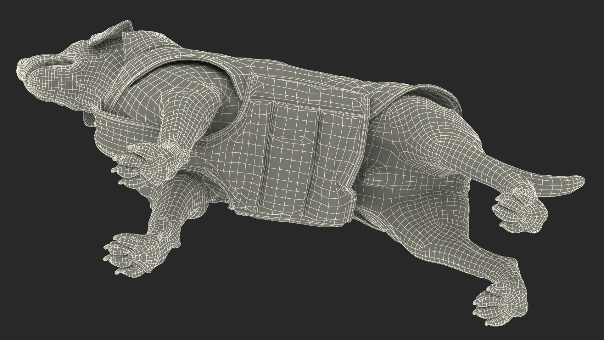 Labrador Wearing Brown Coat 3D