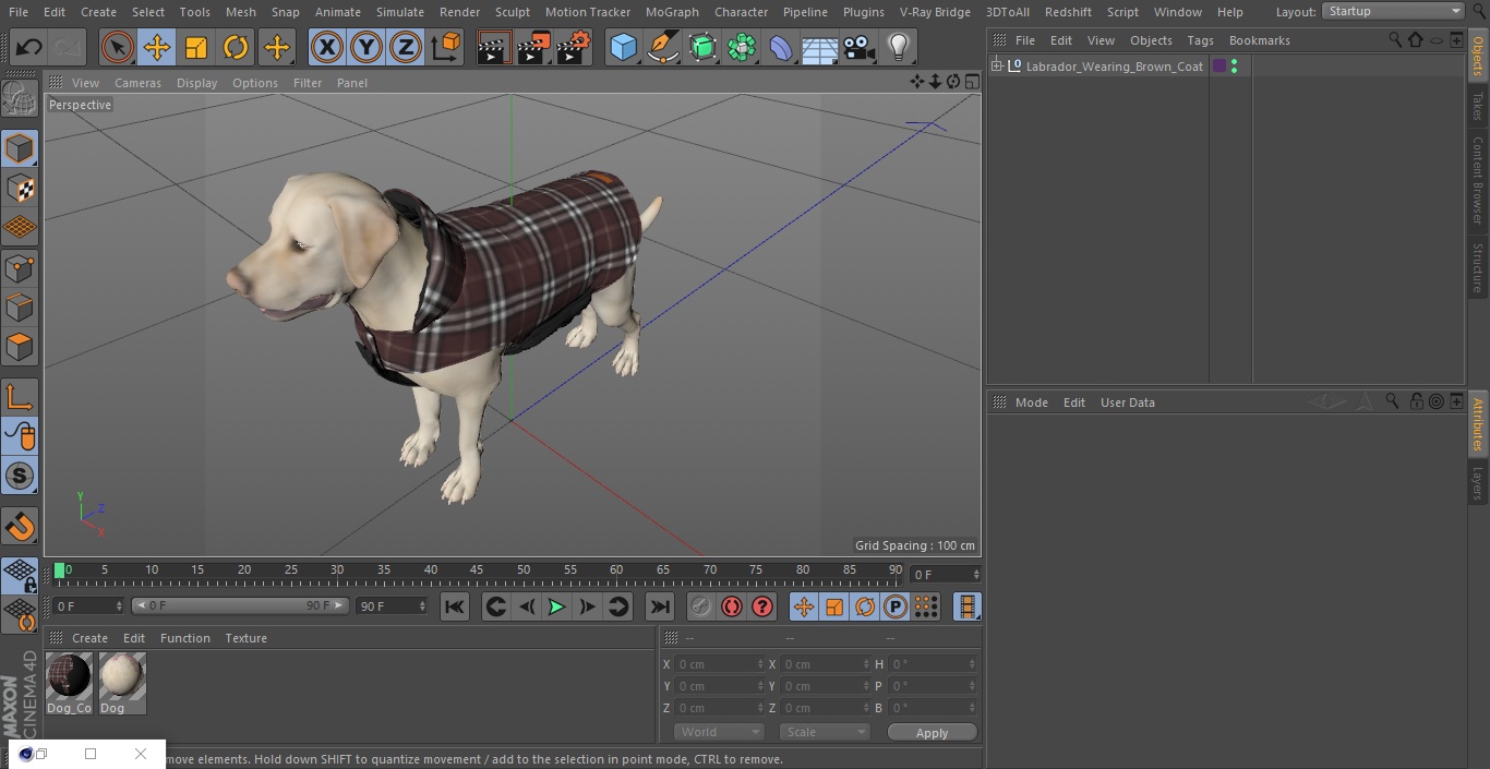 Labrador Wearing Brown Coat 3D