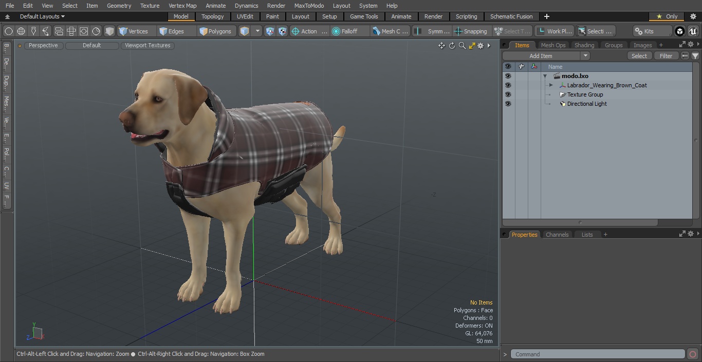 Labrador Wearing Brown Coat 3D