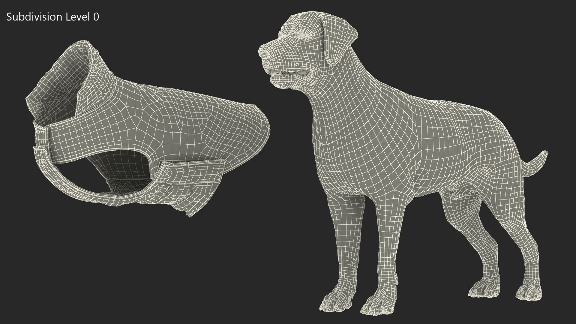 Labrador Wearing Brown Coat 3D