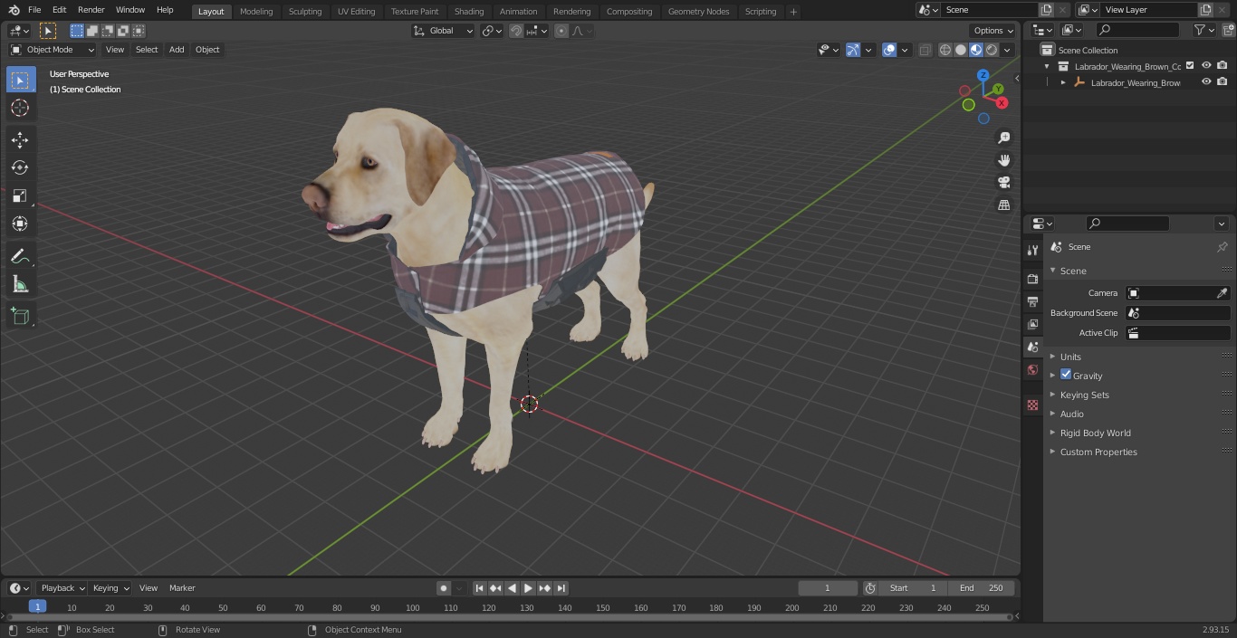 Labrador Wearing Brown Coat 3D