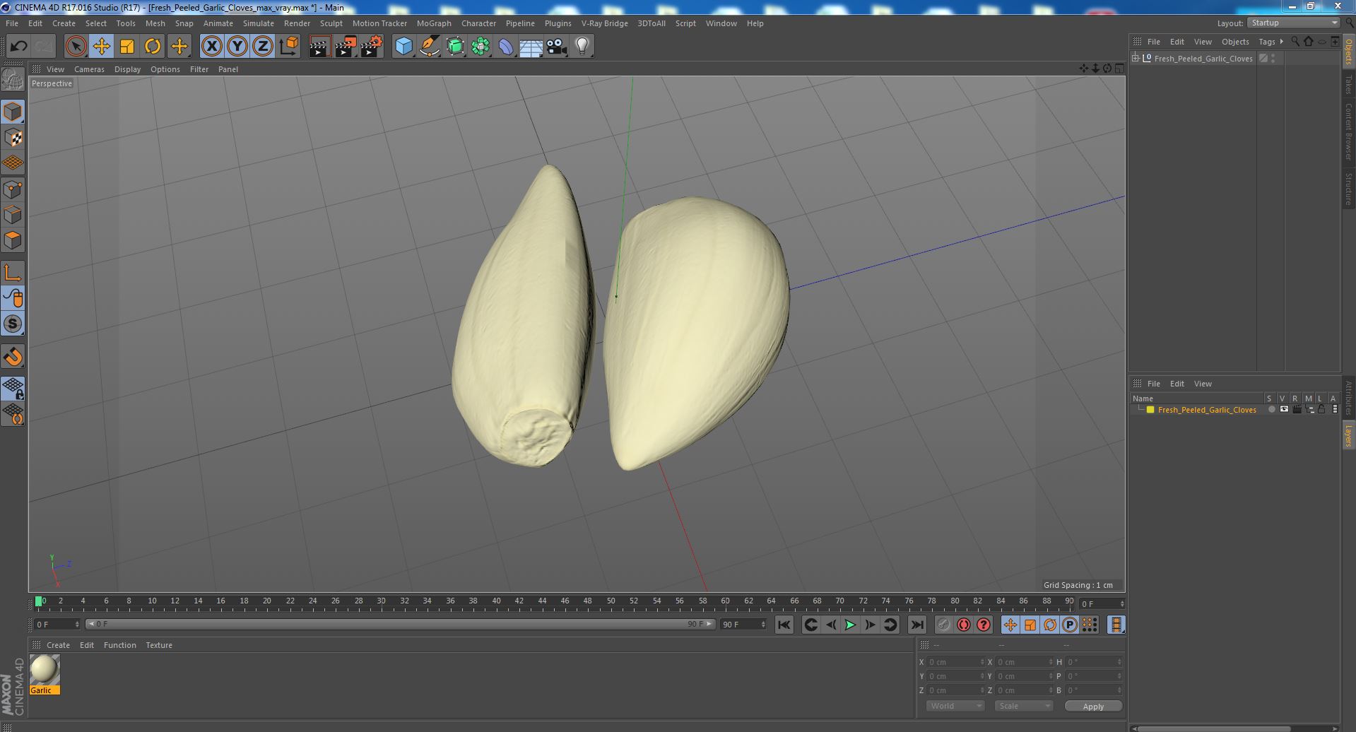 3D Fresh Peeled Garlic Cloves