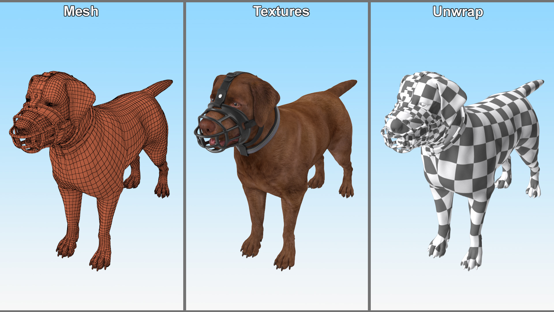 Brown Labrador Wearing Muzzle 3D model
