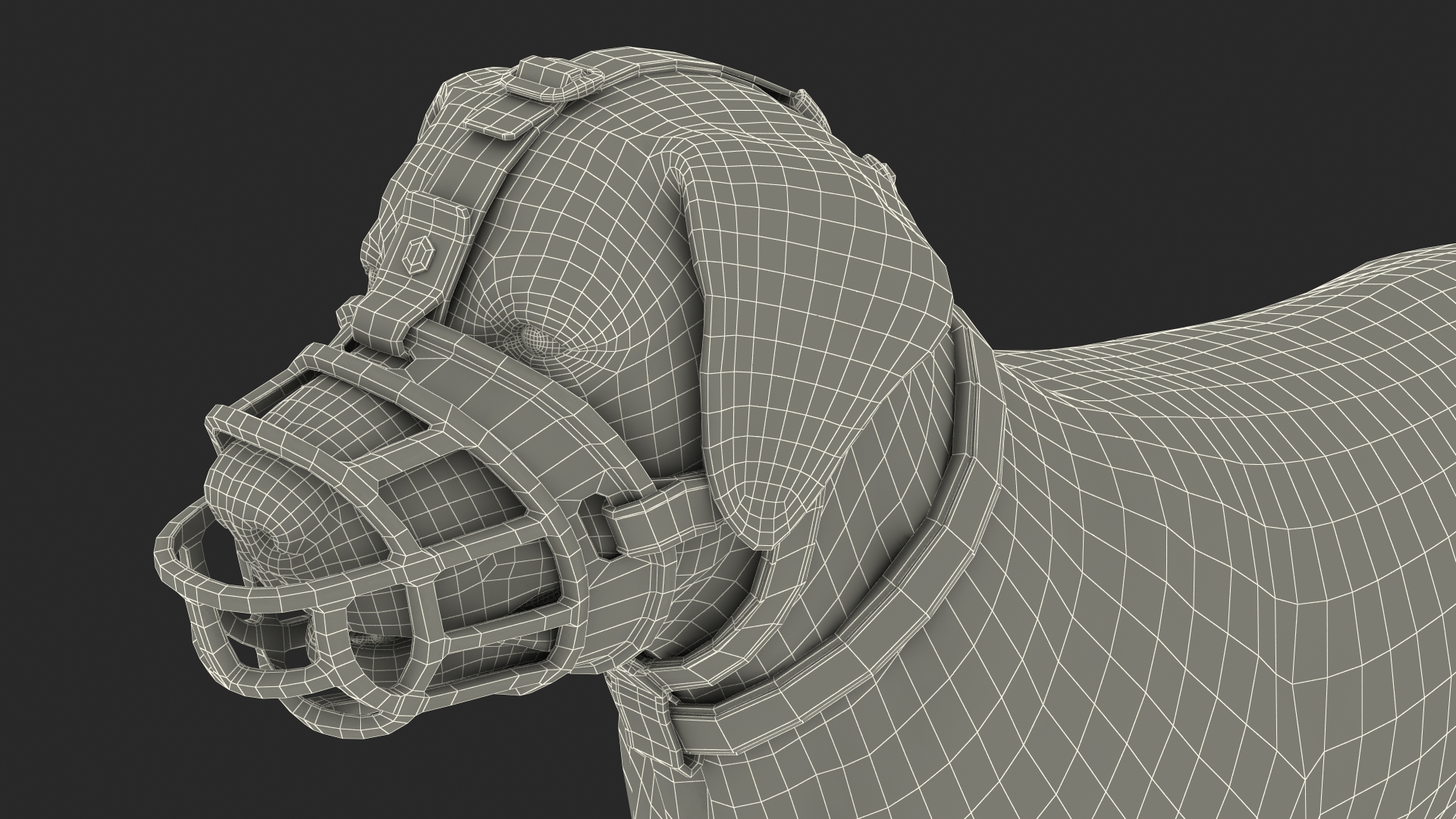 Brown Labrador Wearing Muzzle 3D model