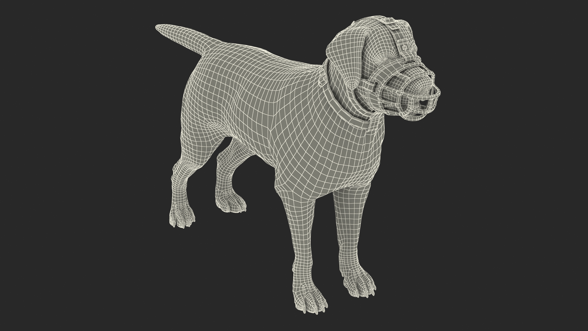 Brown Labrador Wearing Muzzle 3D model