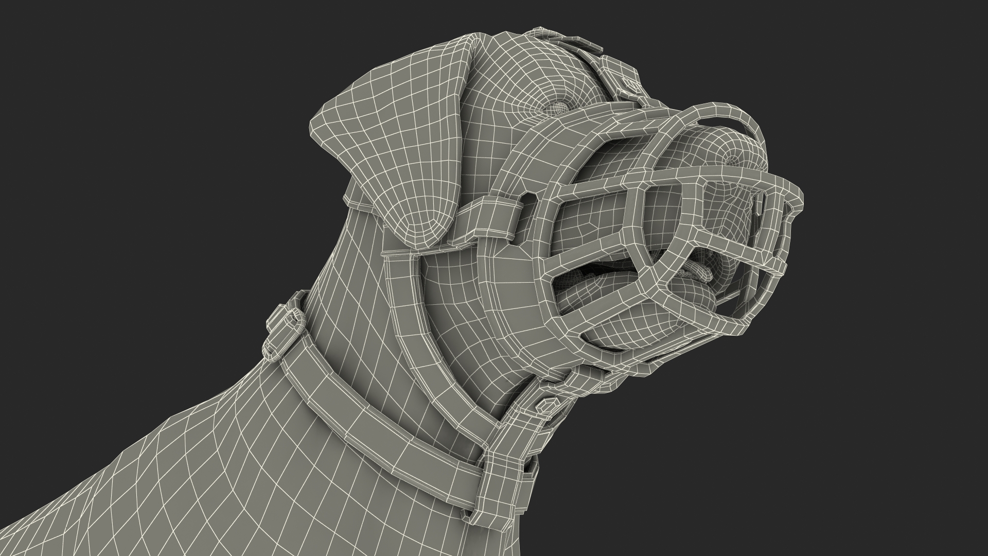 Brown Labrador Wearing Muzzle 3D model