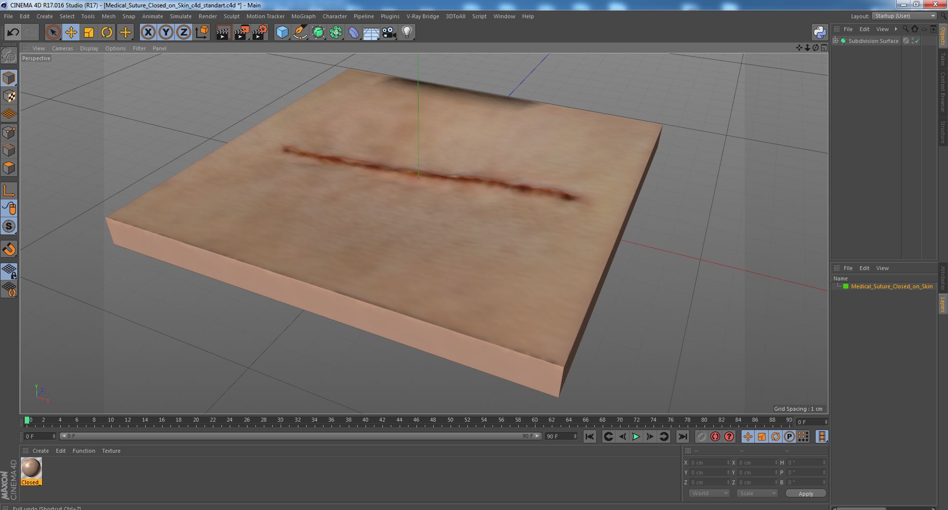 Medical Suture Closed on Skin 3D model