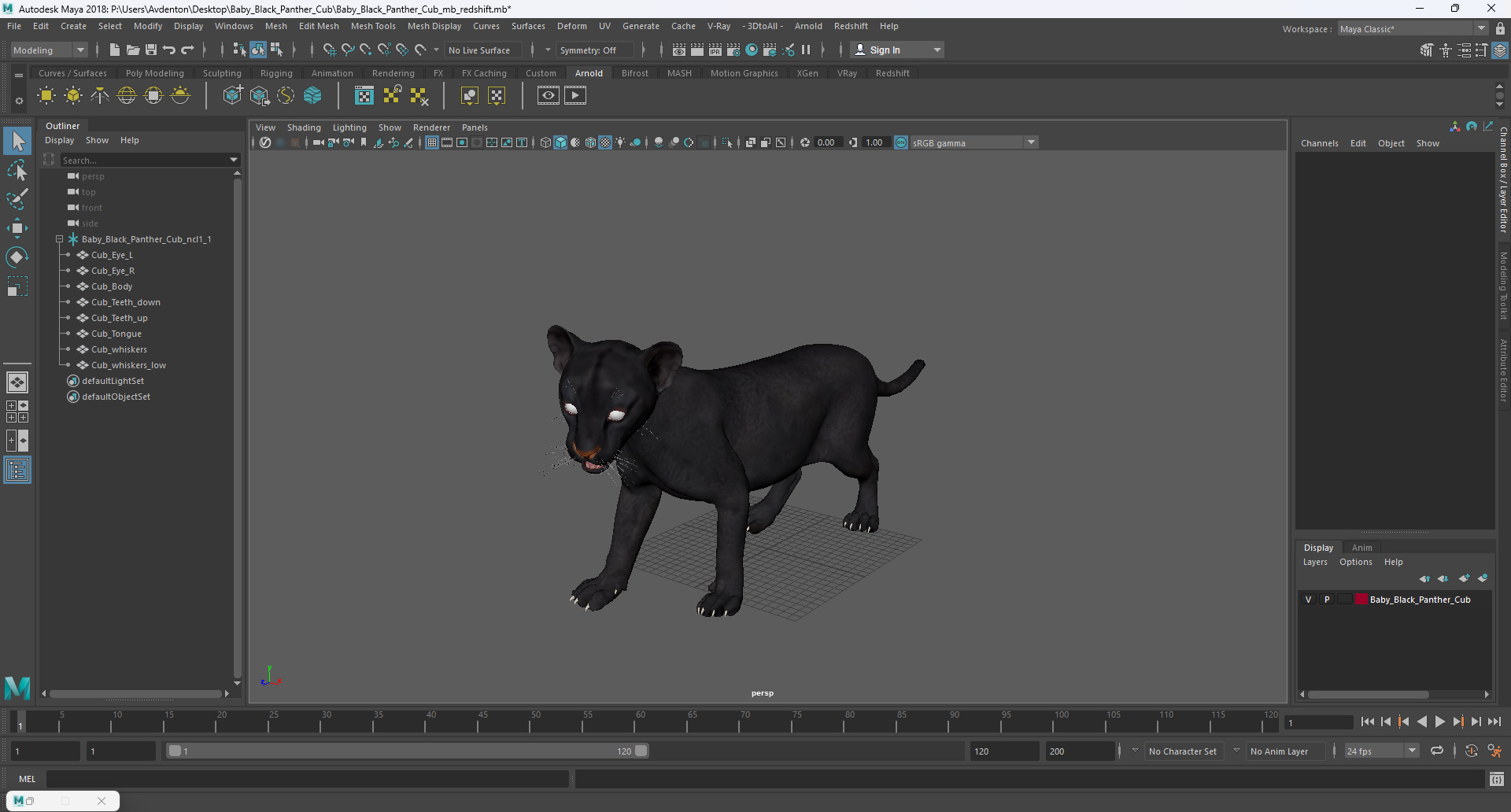 Baby Black Panther Cub 3D