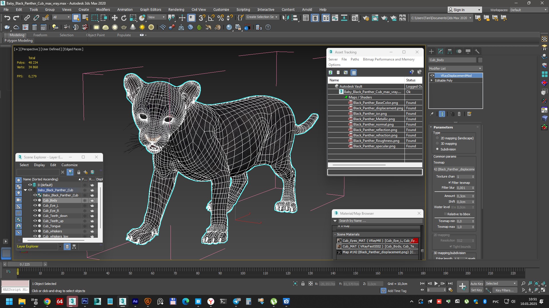 Baby Black Panther Cub 3D