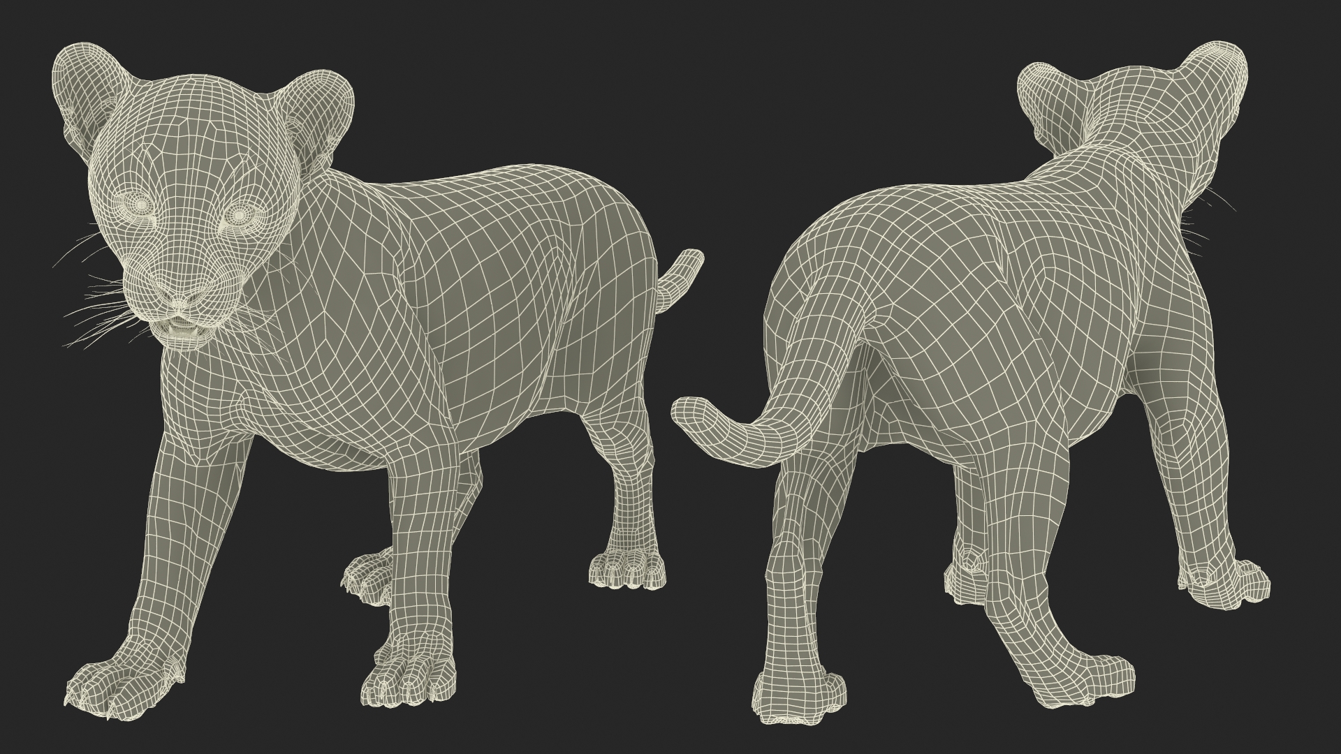 Baby Black Panther Cub 3D