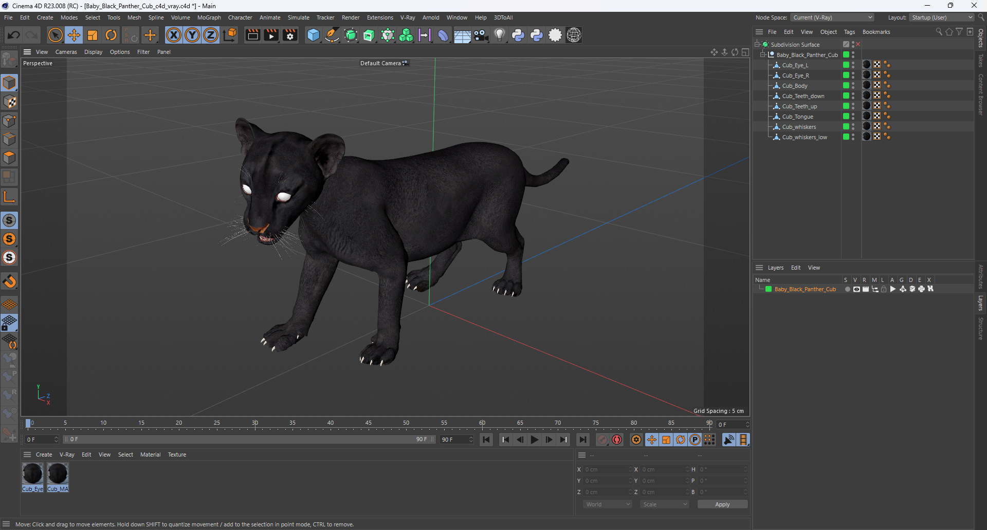 Baby Black Panther Cub 3D