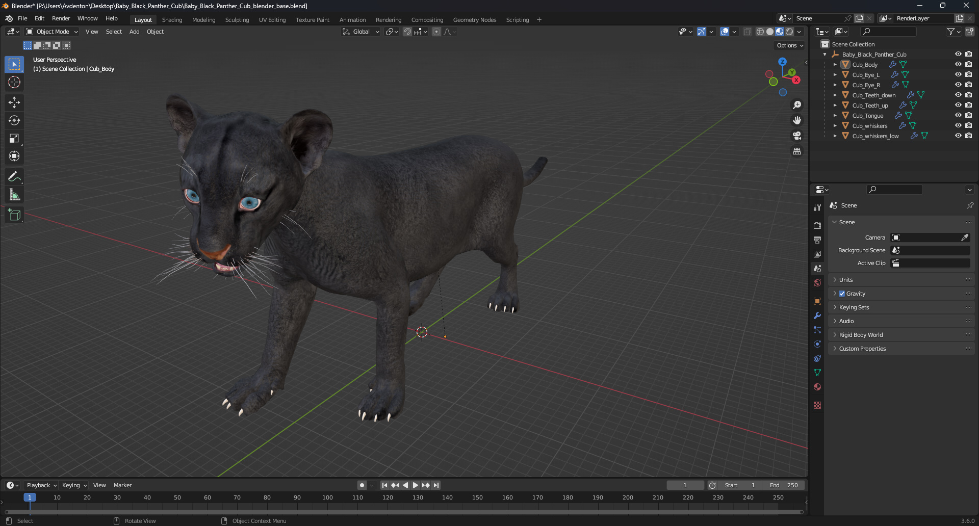 Baby Black Panther Cub 3D