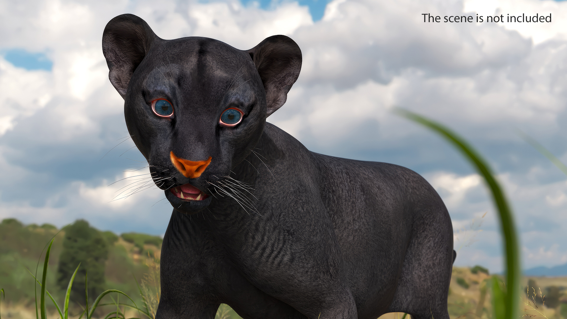 Baby Black Panther Cub 3D
