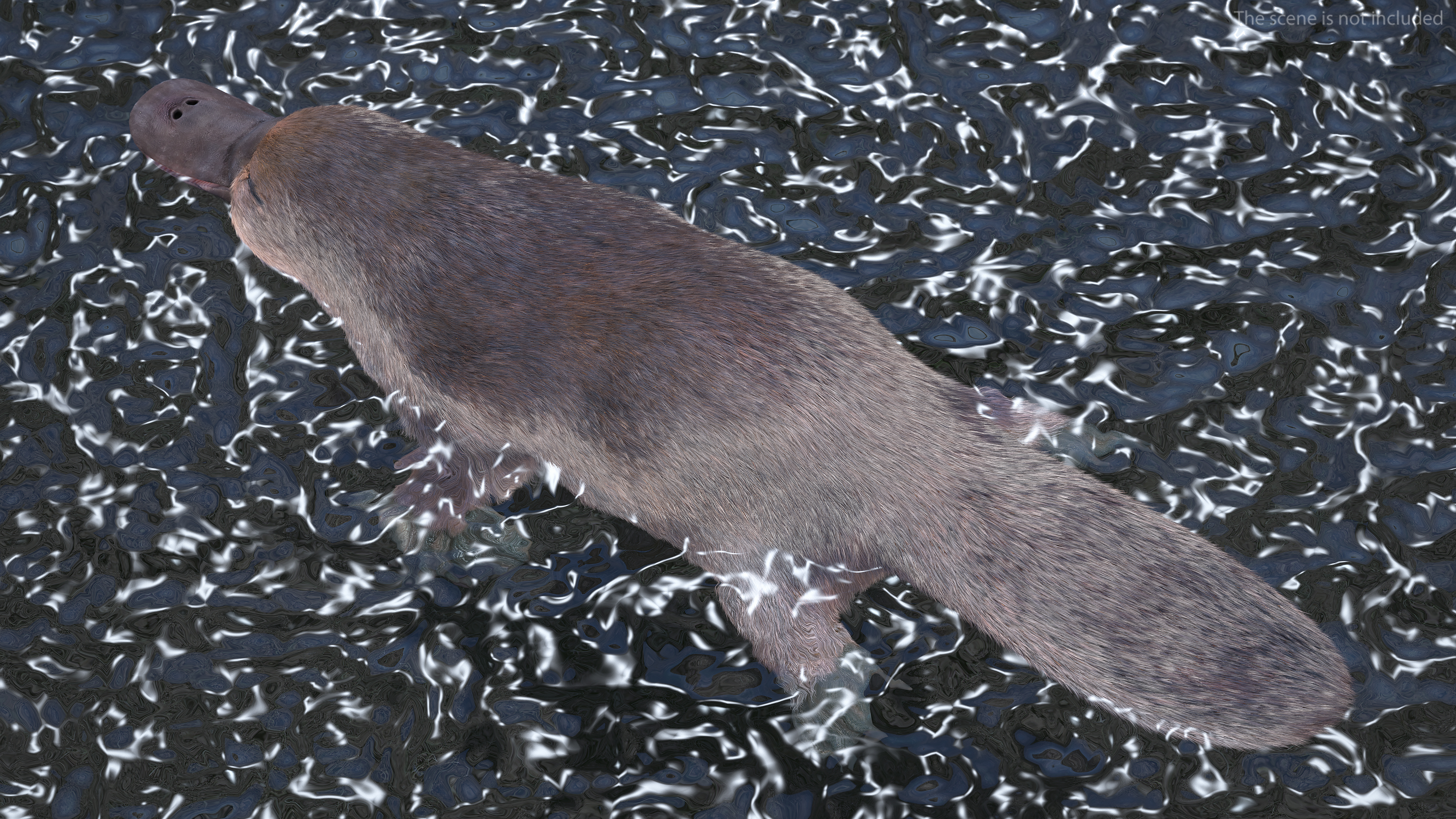 Platypus Fur 3D