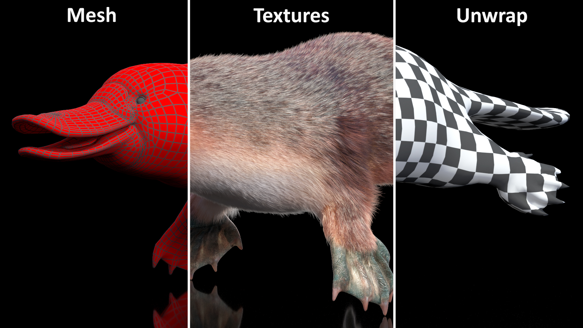 Platypus Fur 3D