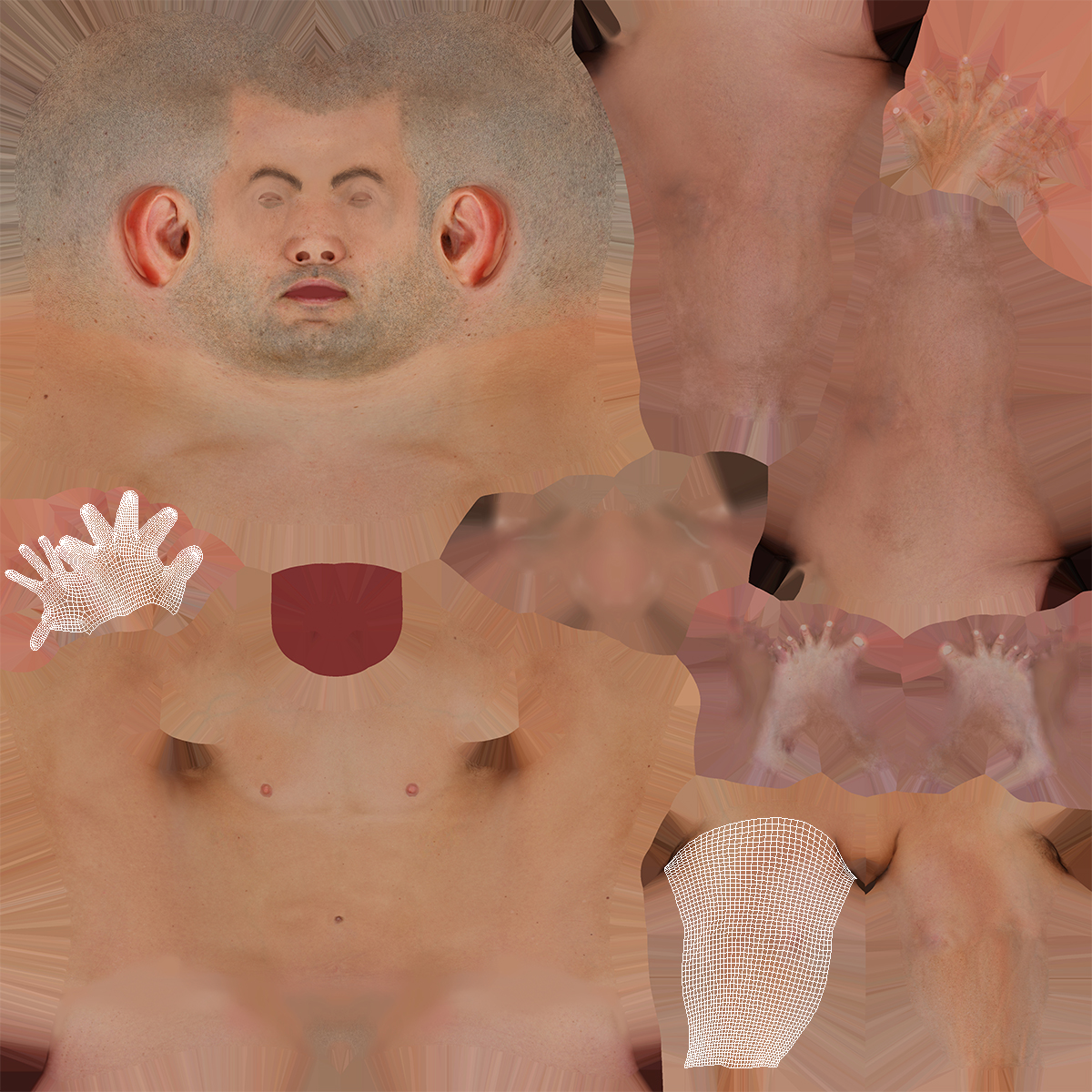 3D Arm Realistic Male Anatomy