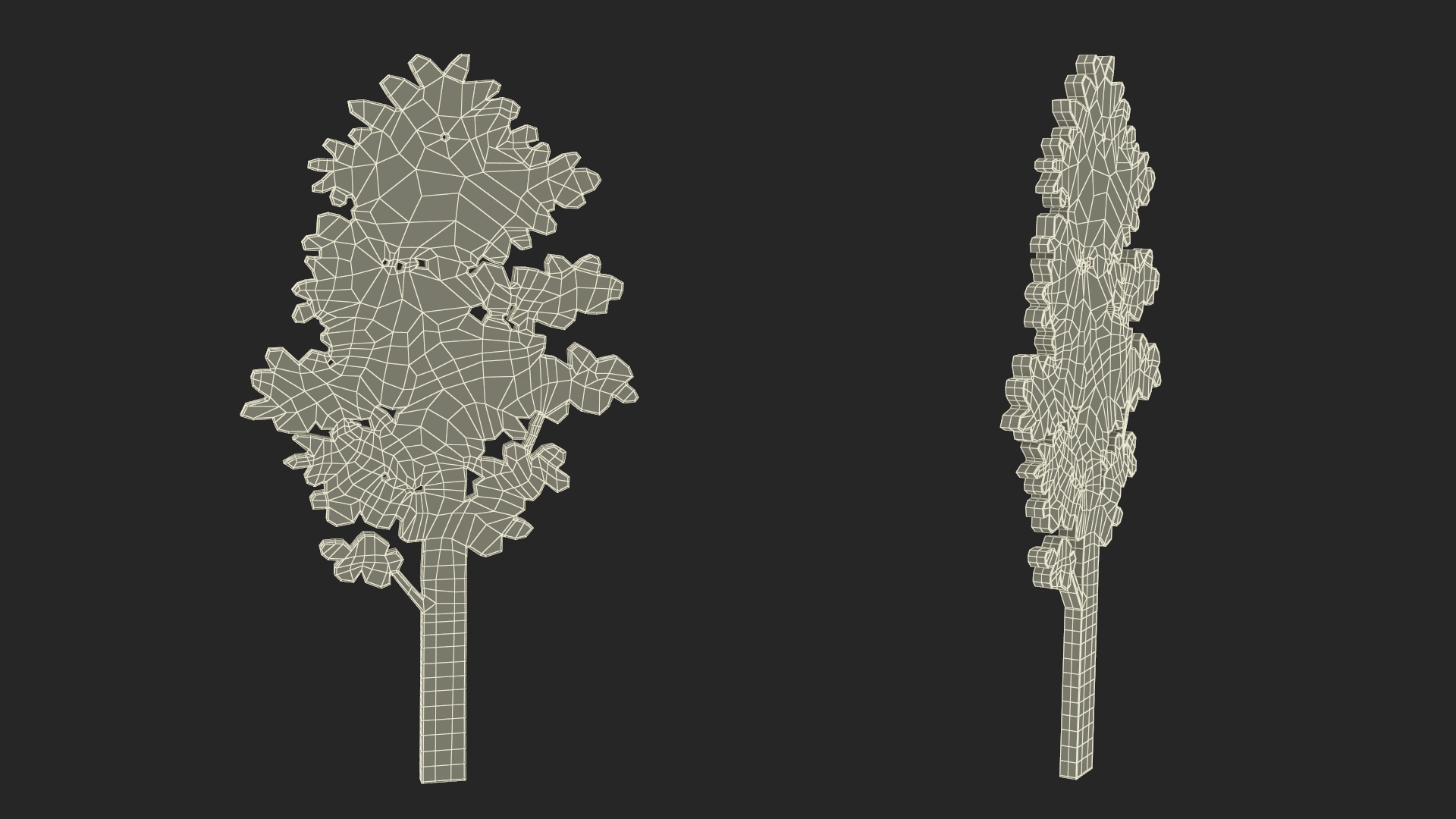 Poplar Tree Silhouette 3D