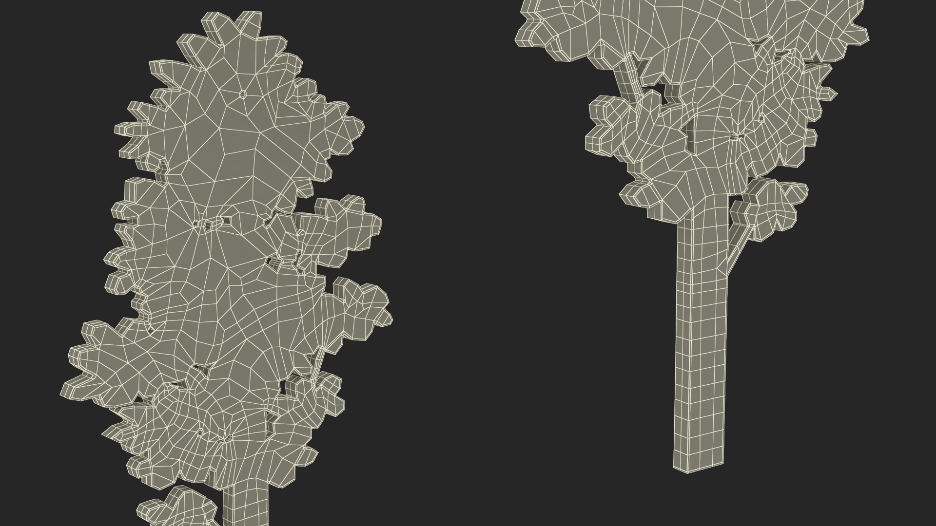 Poplar Tree Silhouette 3D