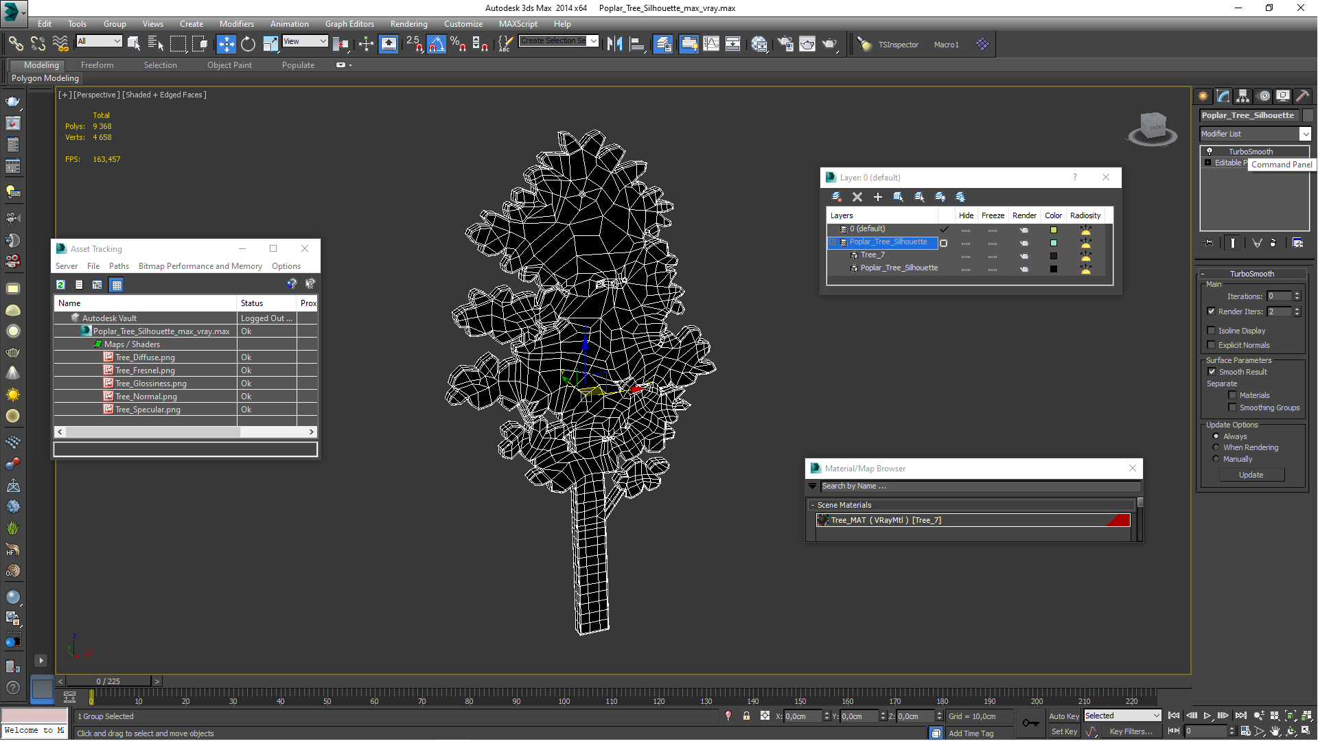 Poplar Tree Silhouette 3D