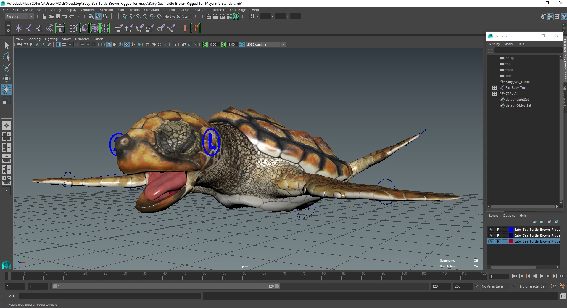 Baby Sea Turtle Brown Rigged for Maya 3D