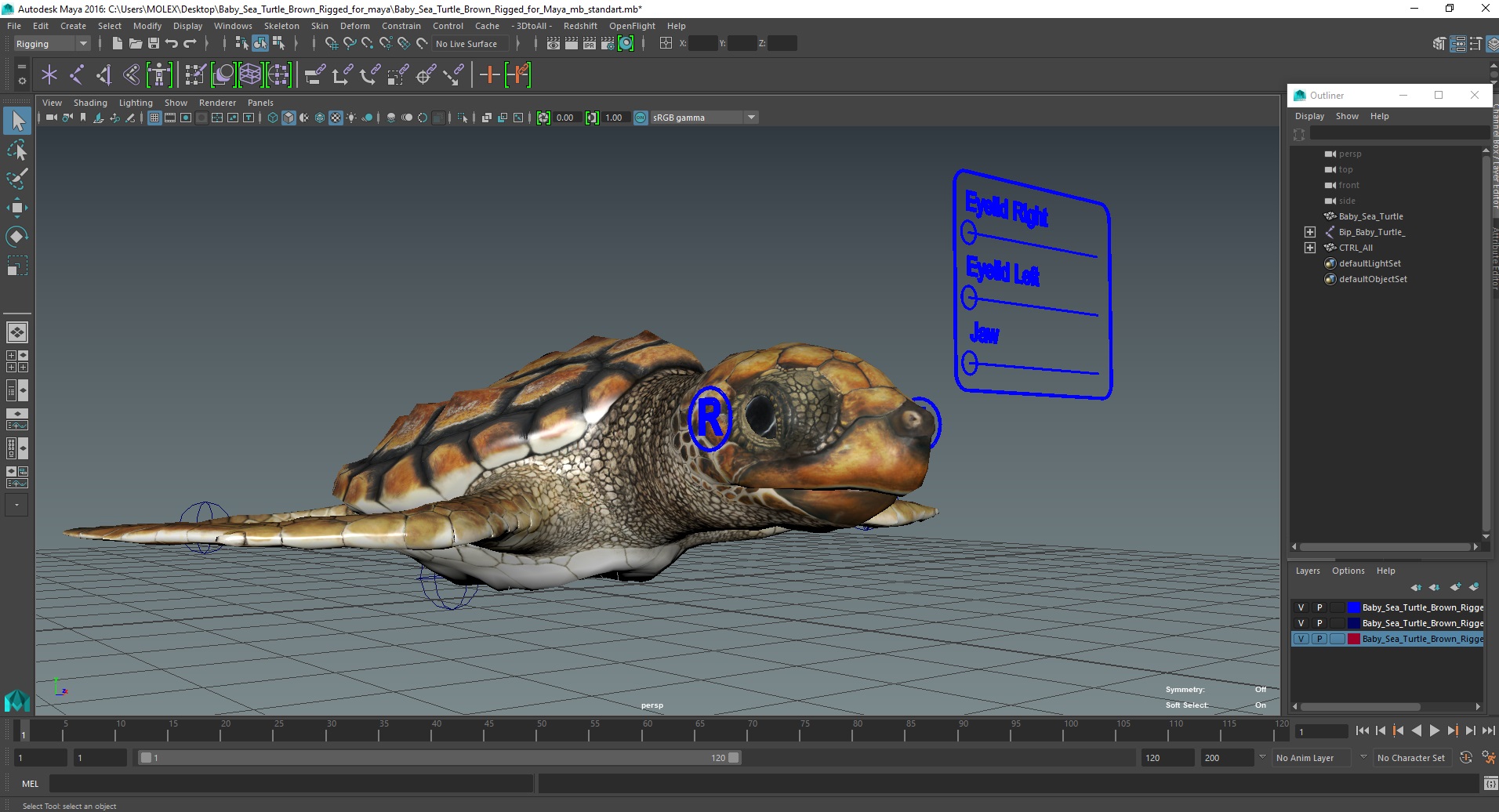 Baby Sea Turtle Brown Rigged for Maya 3D