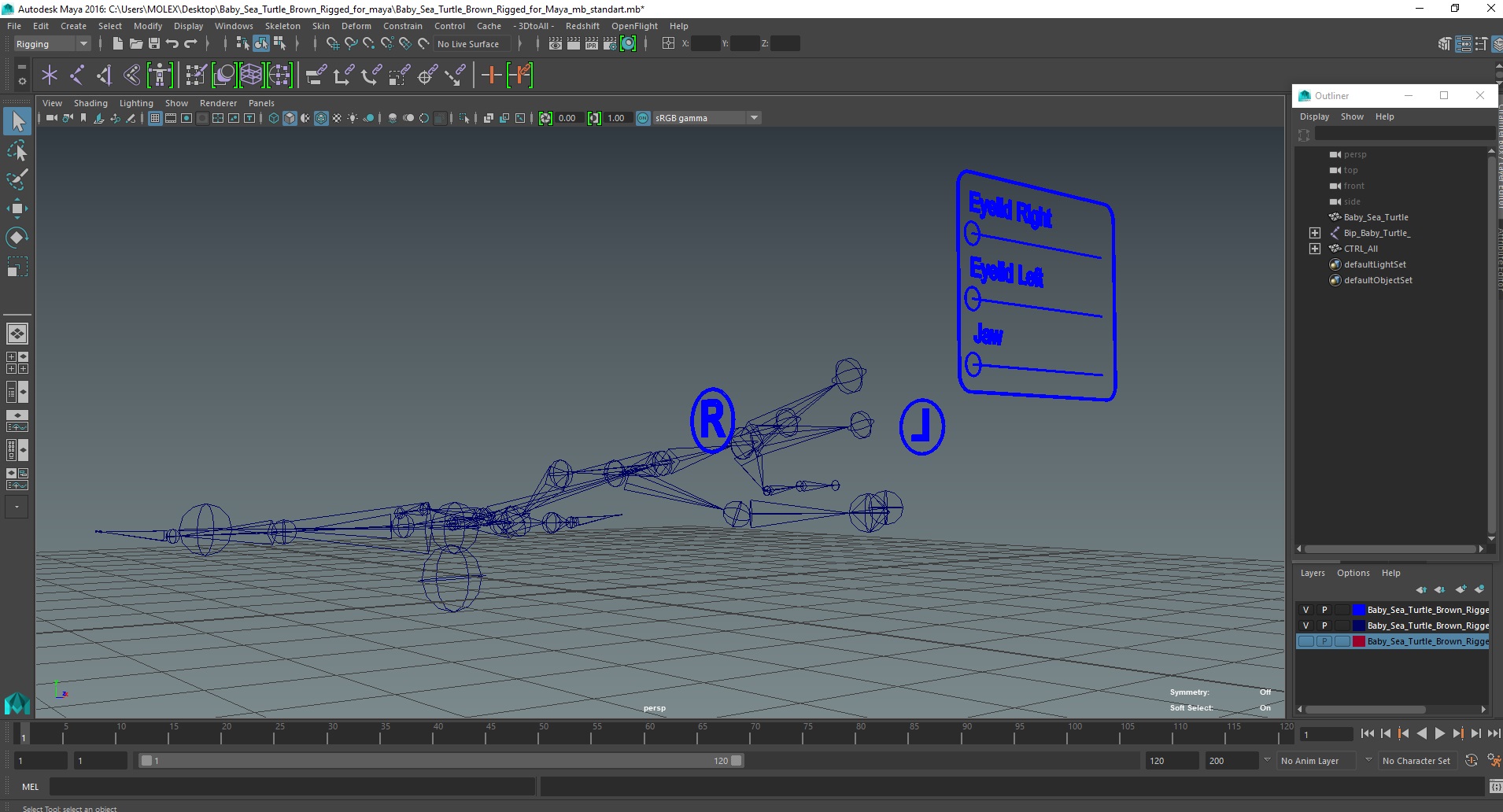 Baby Sea Turtle Brown Rigged for Maya 3D