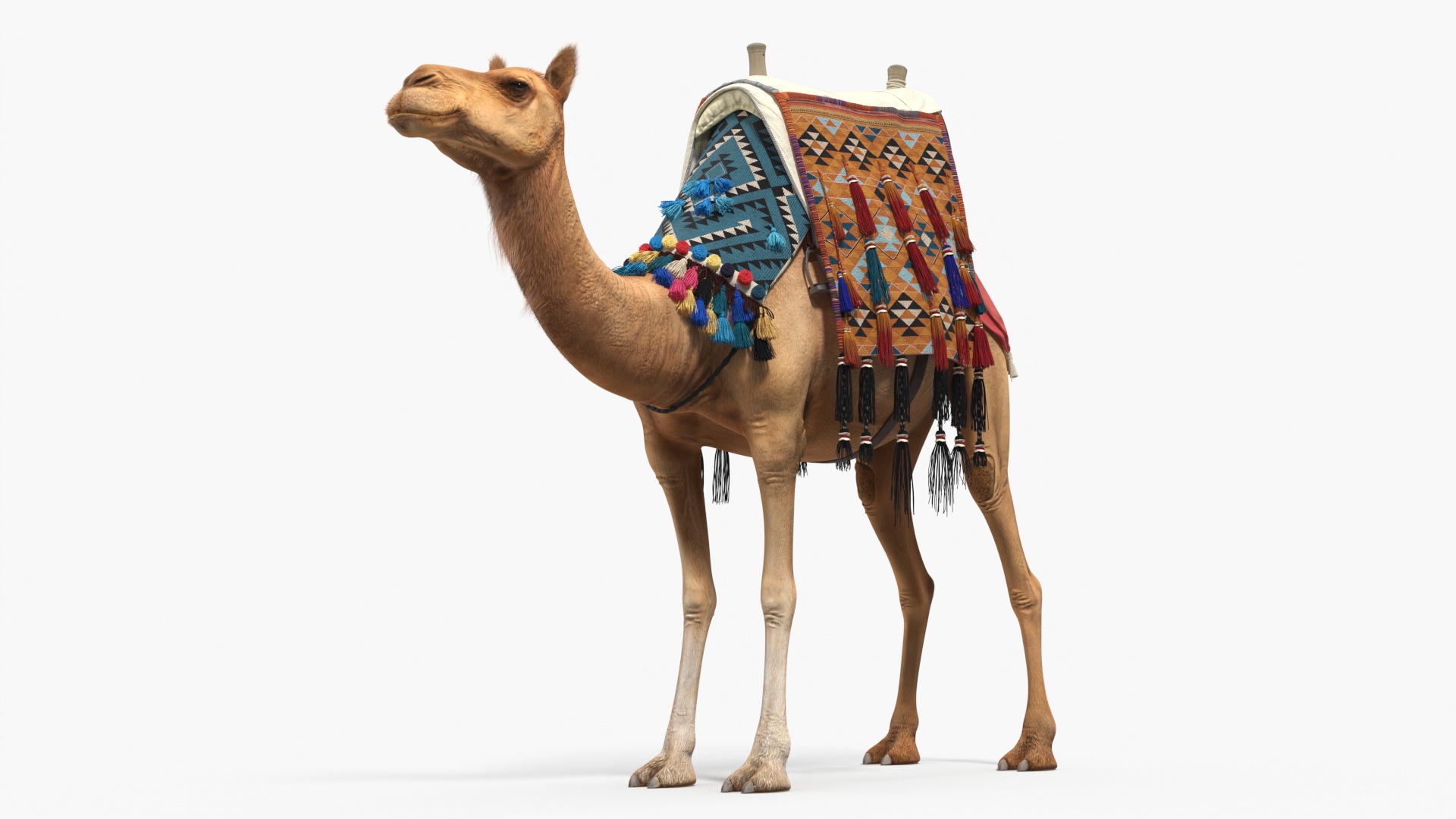 Traditional Bedouin Tent with Camel Fur 3D model