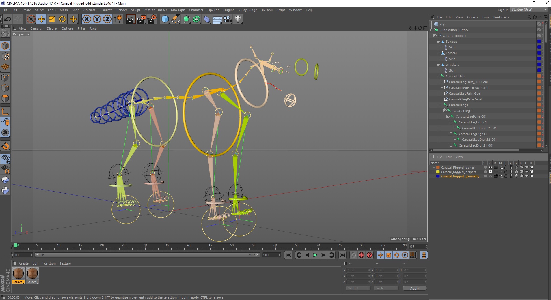 3D Caracal Rigged for Cinema 4D model