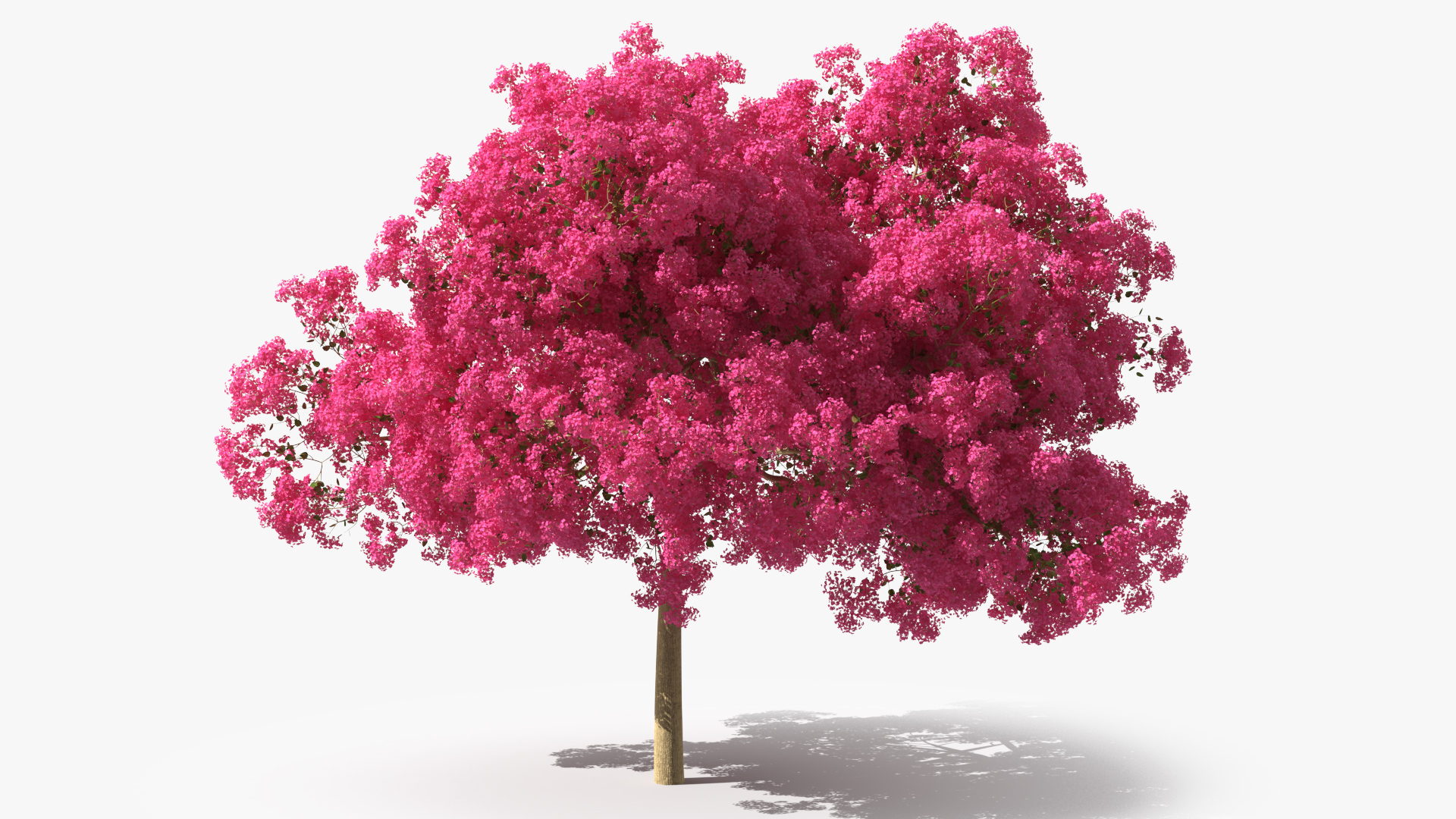 Handroanthus Impetiginosus Foliage 3D model