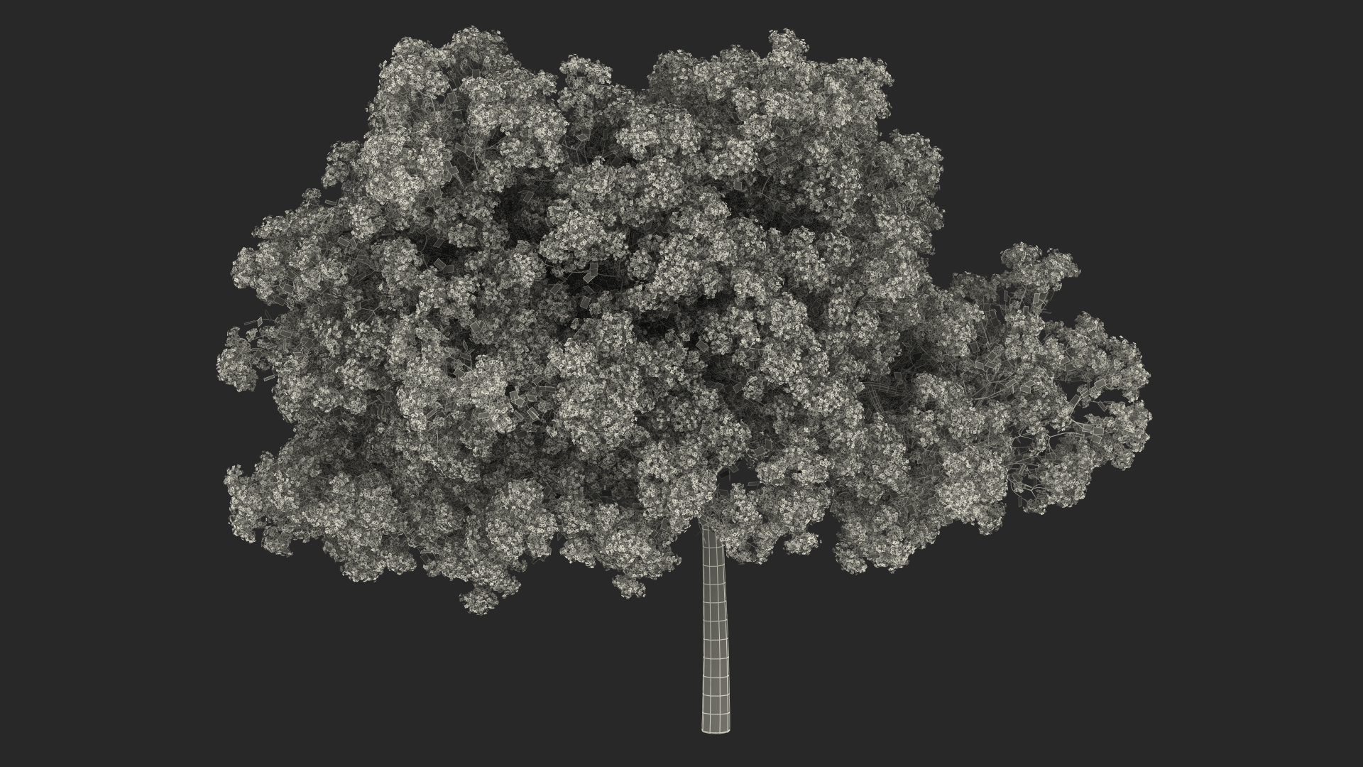 Handroanthus Impetiginosus Foliage 3D model