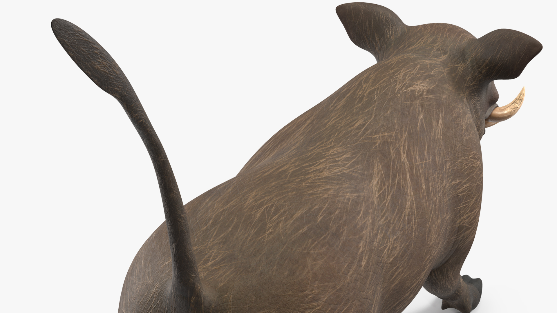 3D model Phacochoerus Africanus Walking Pose