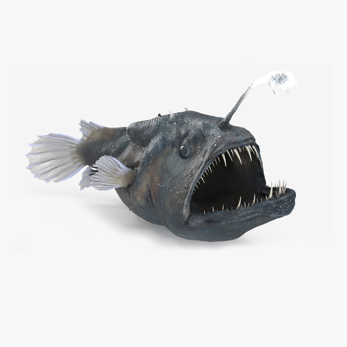 3D Anglerfish Rigged for Maya